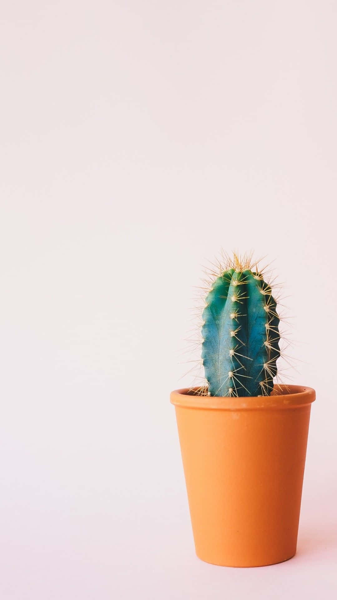 Aesthetic Cactus, vibrant blue-green cactus, golden spines, Full HD Phone Wallpaper