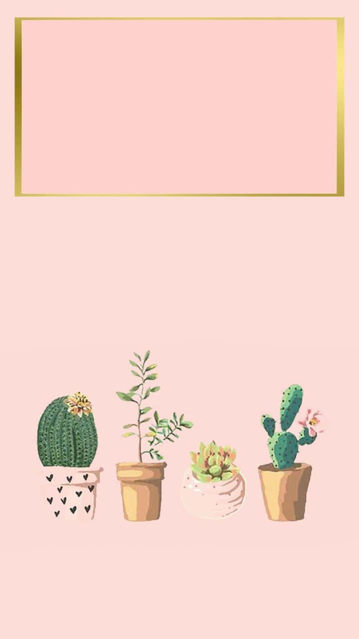 Aesthetic Cactus, pastel pink, gold-framed pink rectangle, HD Phone Wallpaper