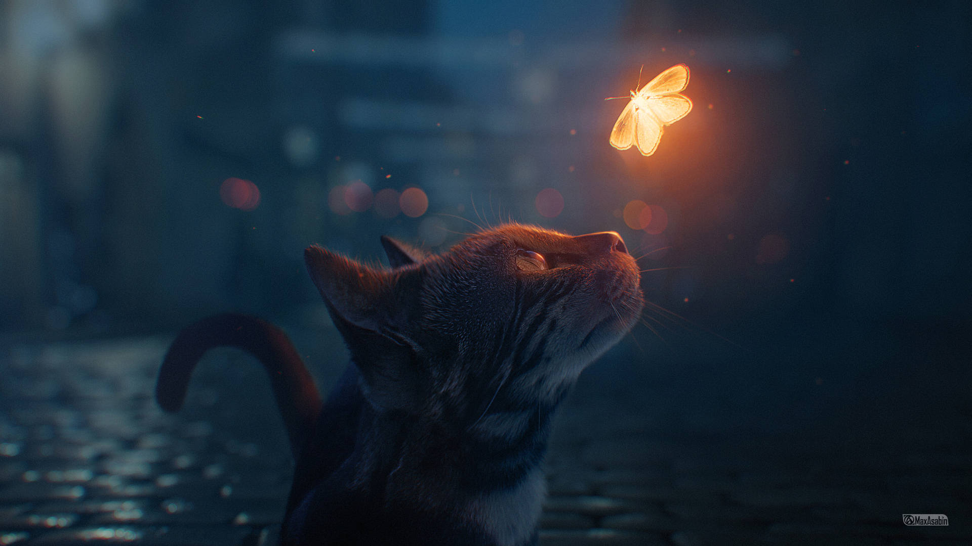 tabby cat, glowing butterfly, dark urban alley, Full HD Desktop Wallpaper