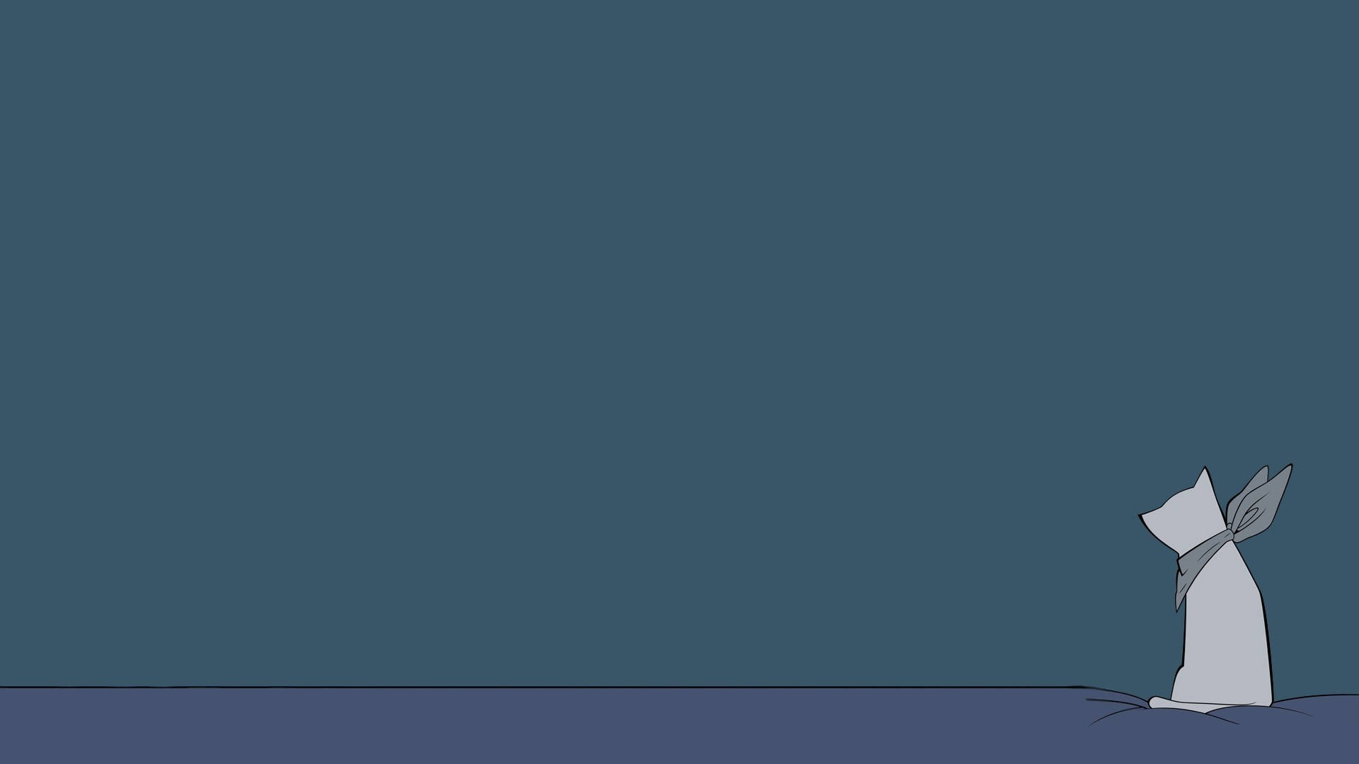 minimalist white cat, dark floor, solid teal wall, Full HD Desktop Wallpaper