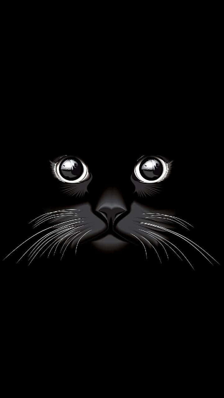 black cat, glowing eyes, whiskers, HD Phone Wallpaper