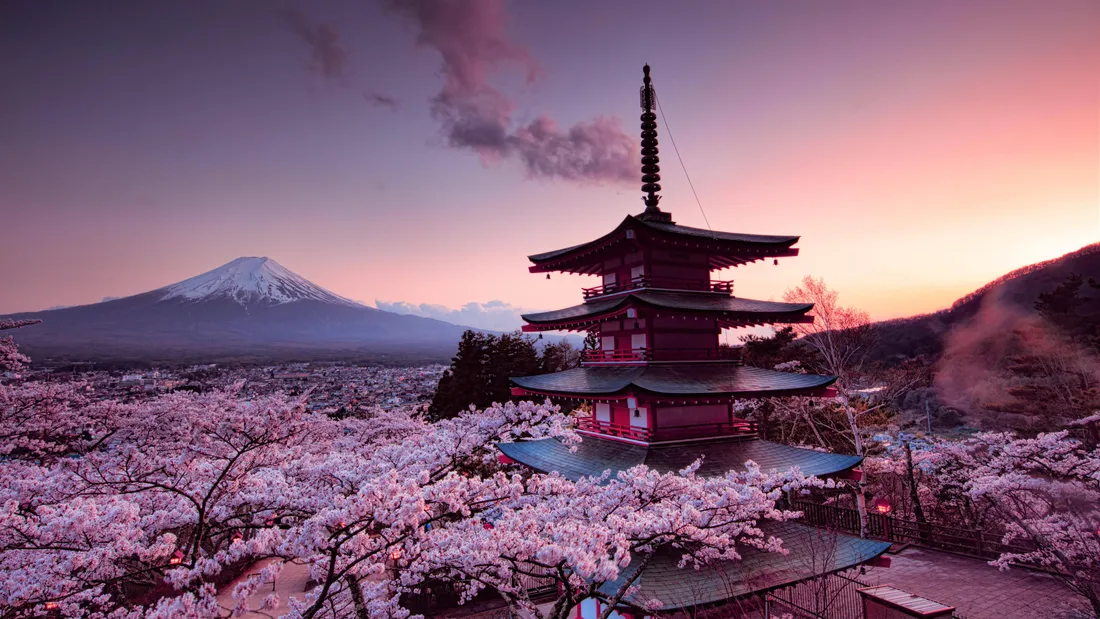 Aesthetic Cherry Blossom