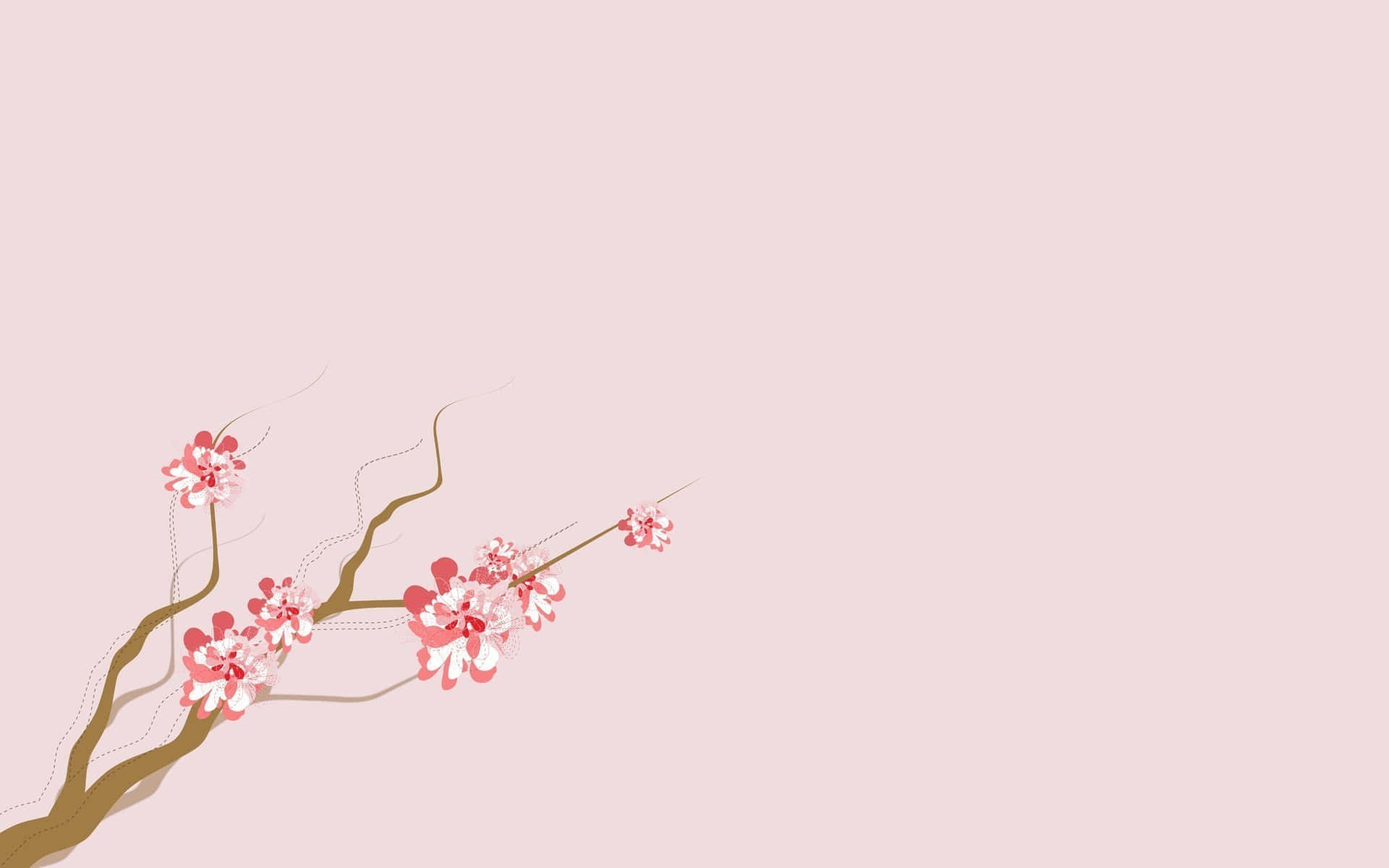 Aesthetic Cherry Blossom, pink cherry blossoms, white accents, Full HD Desktop Wallpaper
