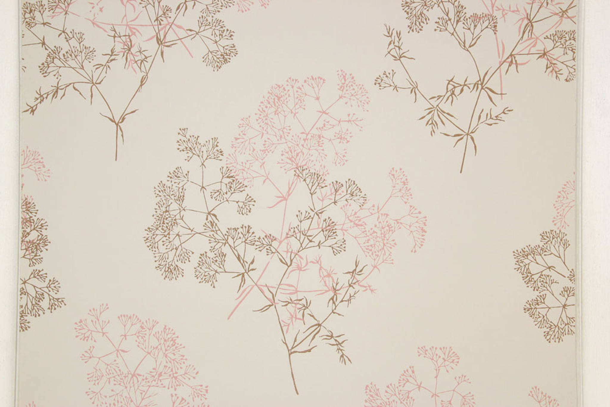 cherry blossom twigs, beige background, soft pink, Full HD Desktop Wallpaper