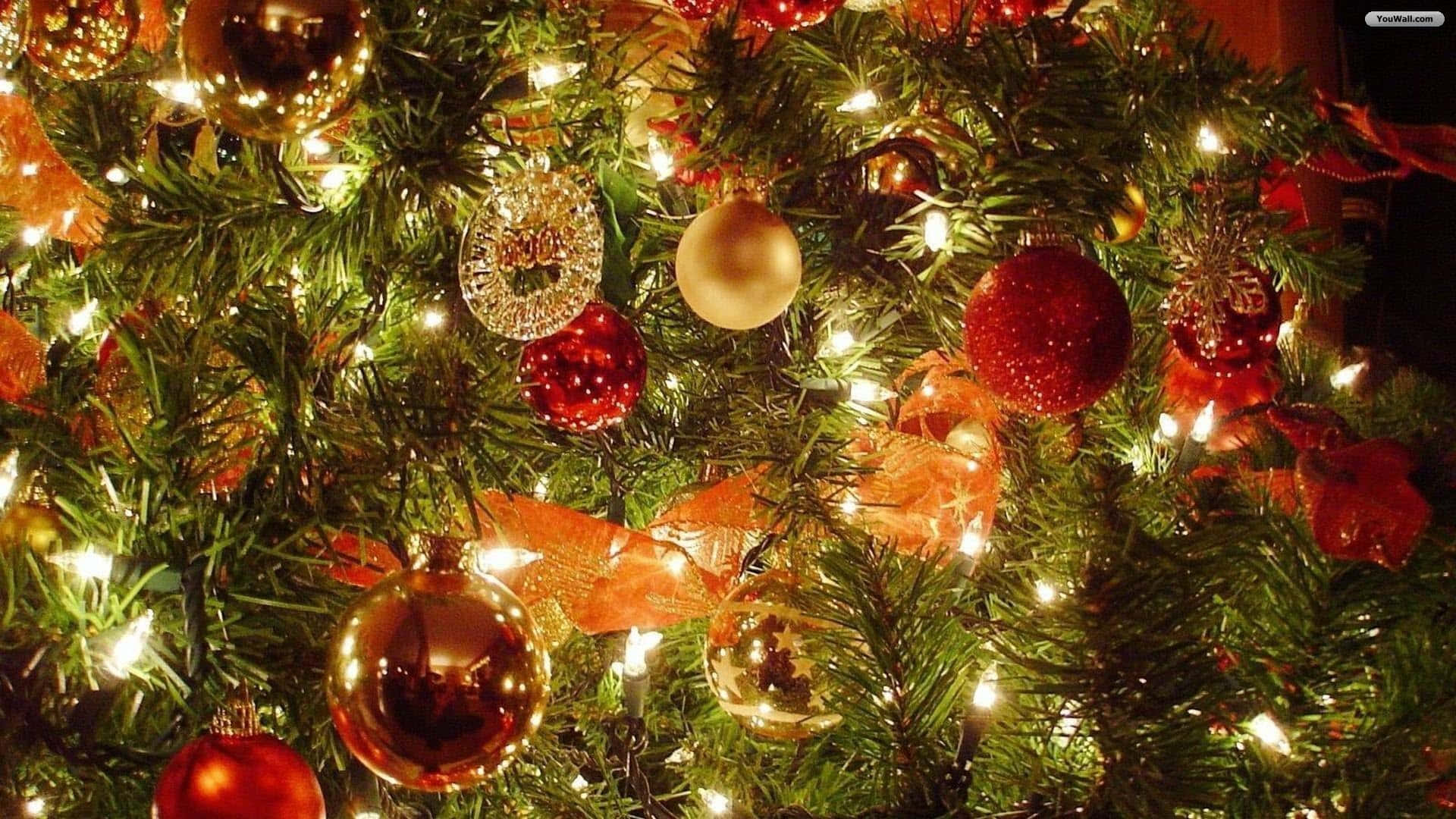 Aesthetic Christmas Laptop, 1920 x 1080, lush green Christmas tree, Full HD Desktop Wallpaper