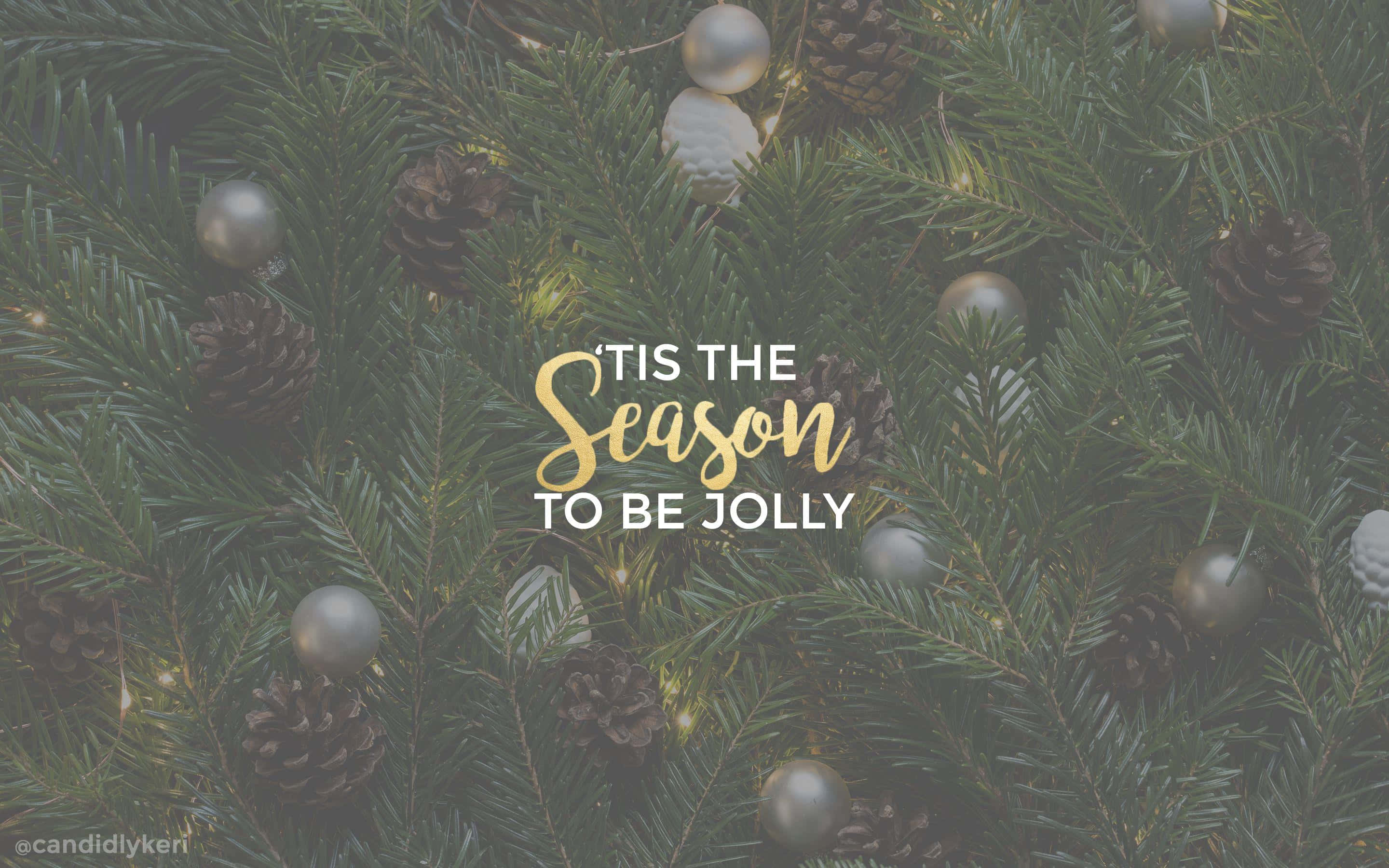 evergreen branches, pinecones, silver ornaments, 2K Desktop Wallpaper