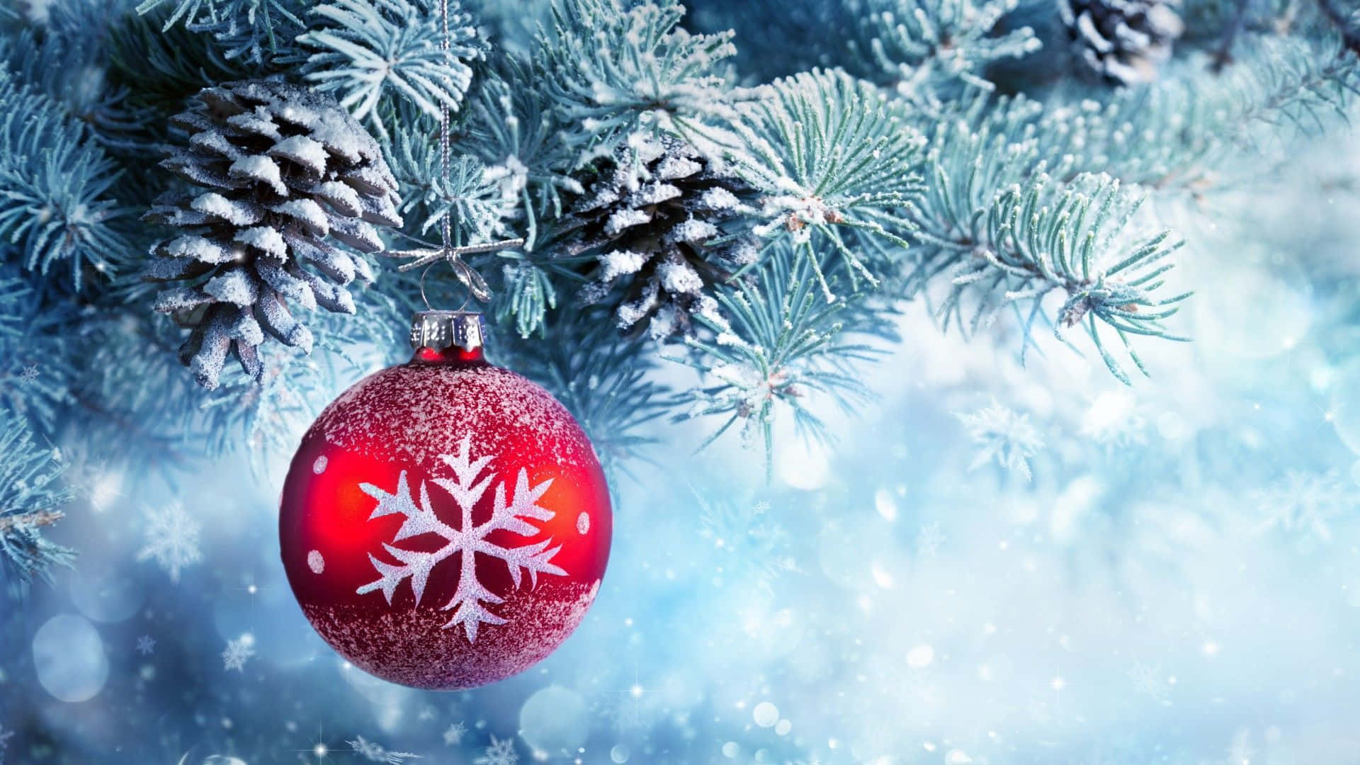 Aesthetic Christmas Red Ornaments Laptop, red snowflake ornament, frost-covered pine branches, Full HD Desktop Wallpaper
