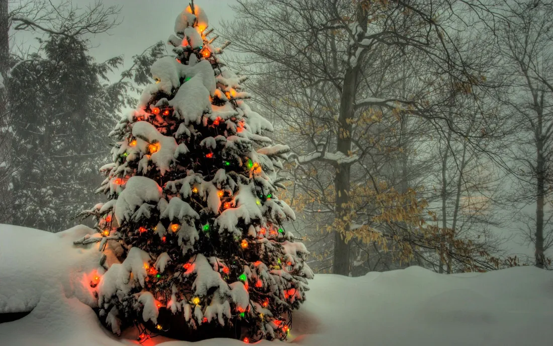 Aesthetic Christmas Tree