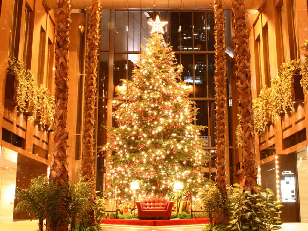 Christmas tree, luxurious hotel lobby, palm trees, SD Desktop Wallpaper