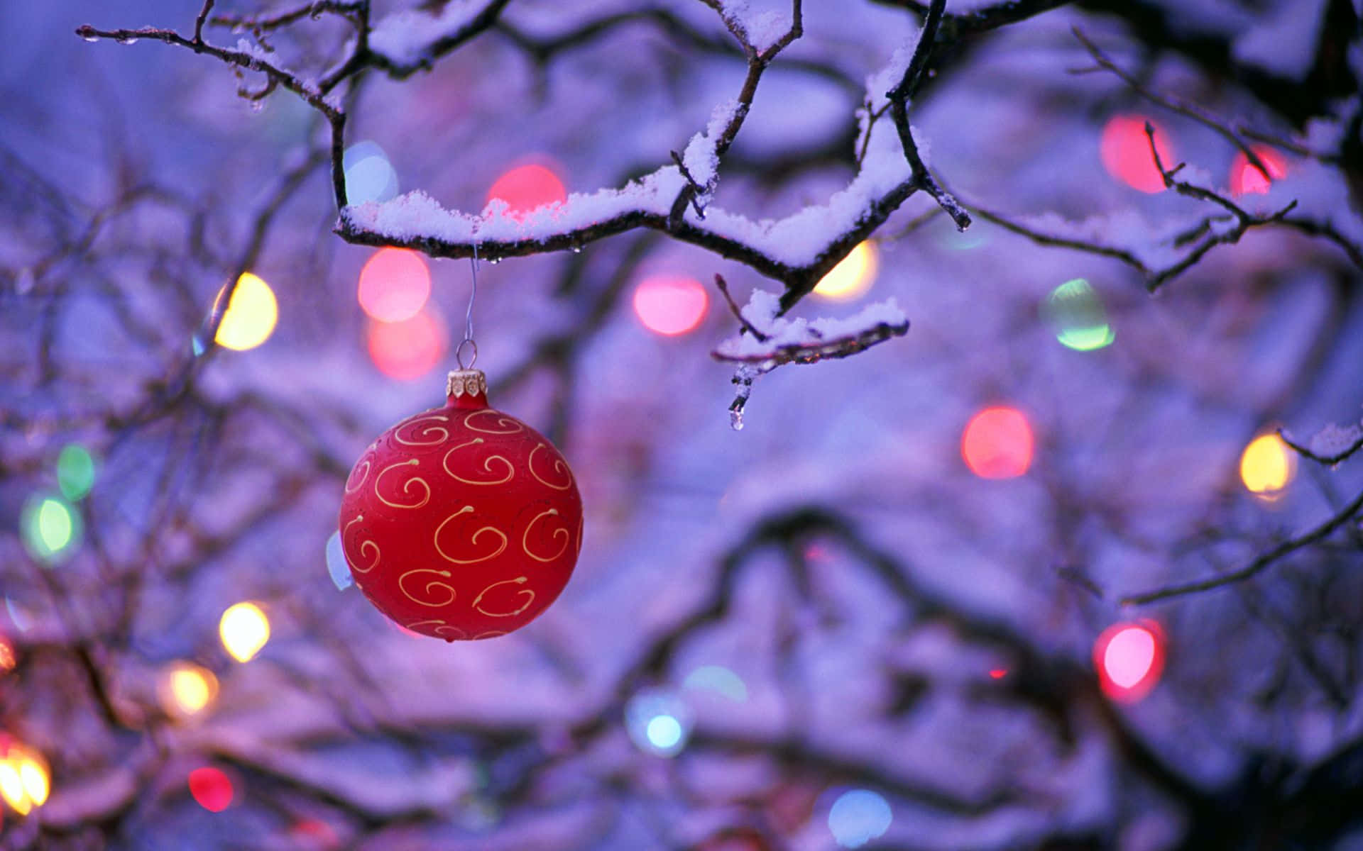 red ornament, gold swirls, snow-dusted branch, Full HD Desktop Wallpaper