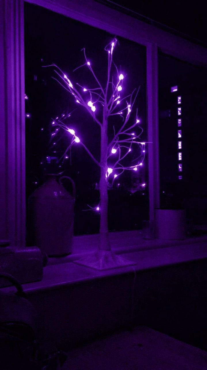 purple and black aesthetic christmas tree, glowing purple fairy lights, windowsill, HD Phone Wallpaper