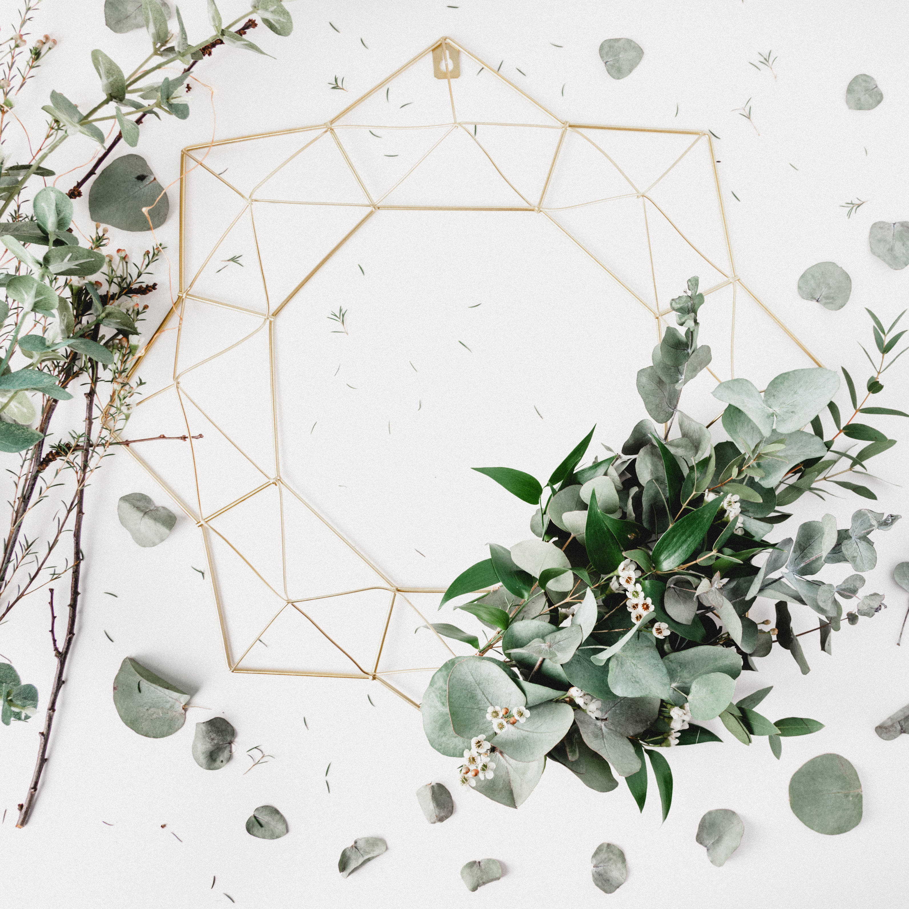 geometric gold frame, fresh eucalyptus leaves, scattered foliage, 2K Desktop Wallpaper