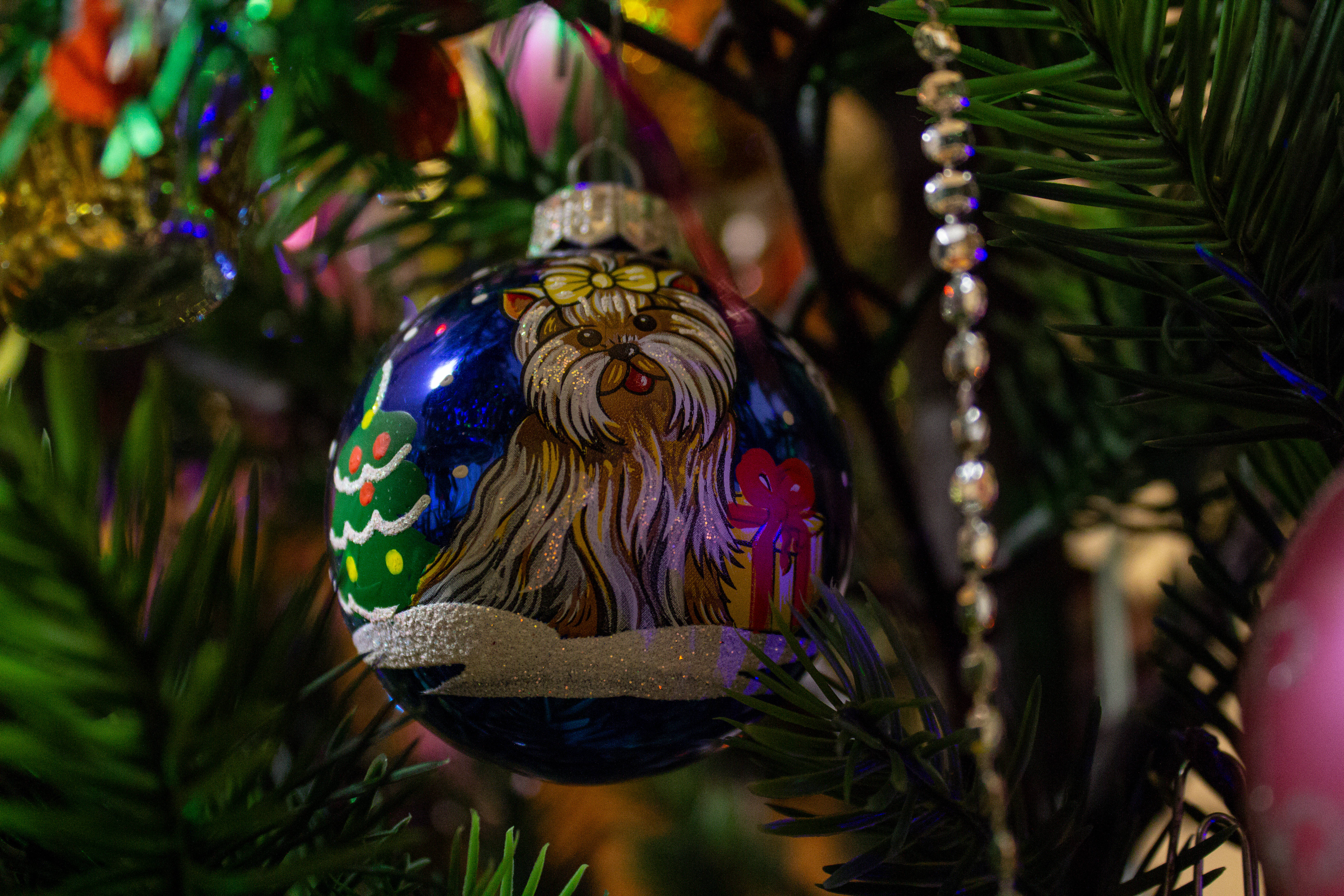 blue Christmas ornament, fluffy Yorkshire Terrier, bow, 5K Desktop Wallpaper