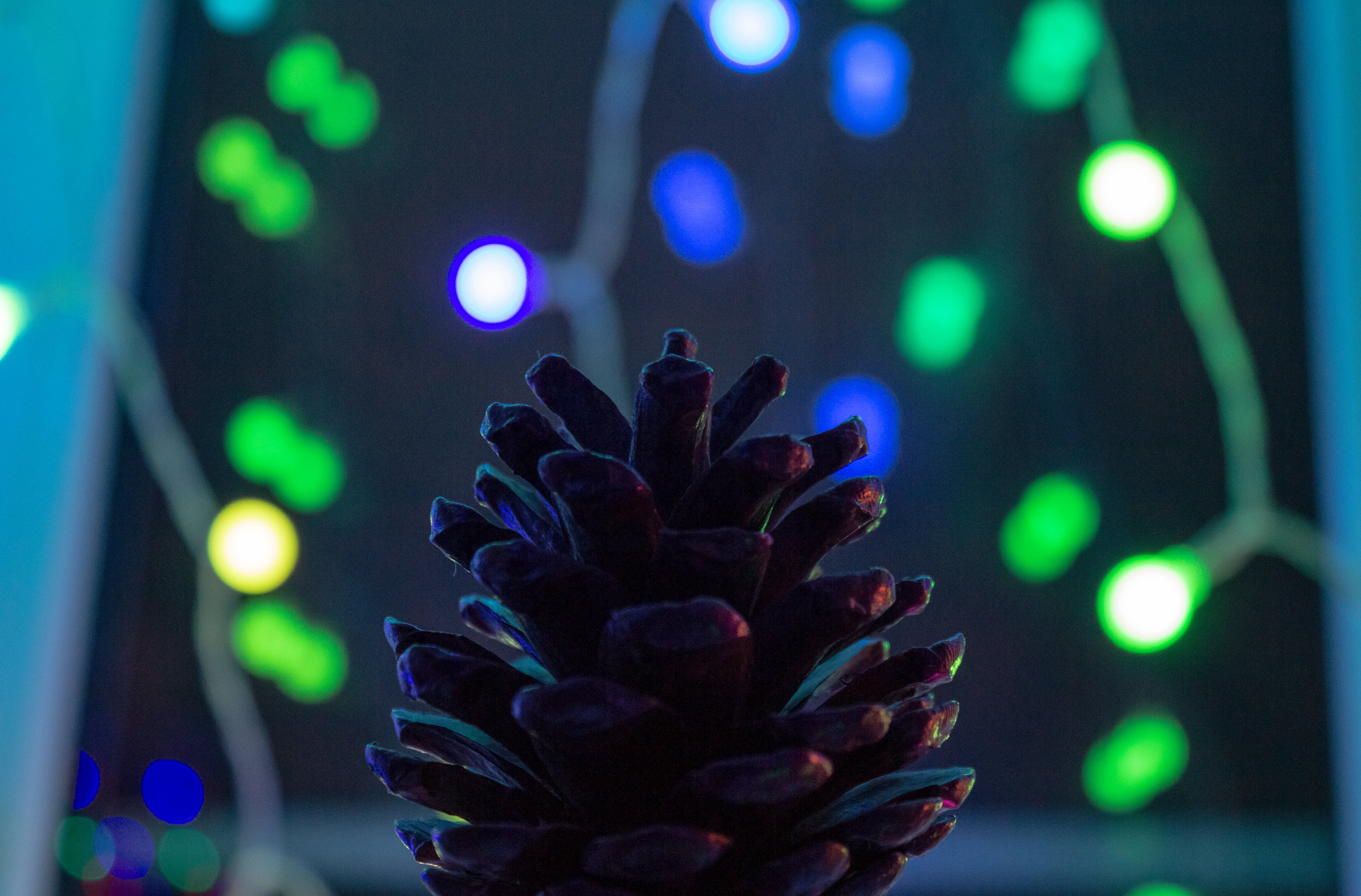 Aesthetic Christmas, pine cone, glowing blue fairy lights, 4K Desktop Wallpaper