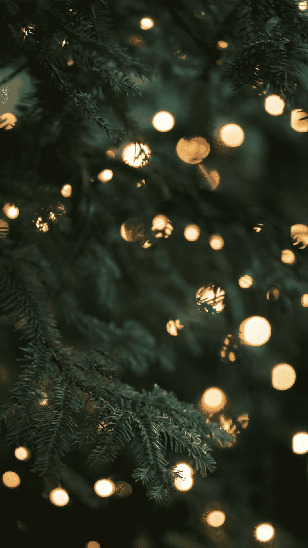 cozy christmas lights, golden bokeh lights, dark green pine needles, Full HD Phone Wallpaper
