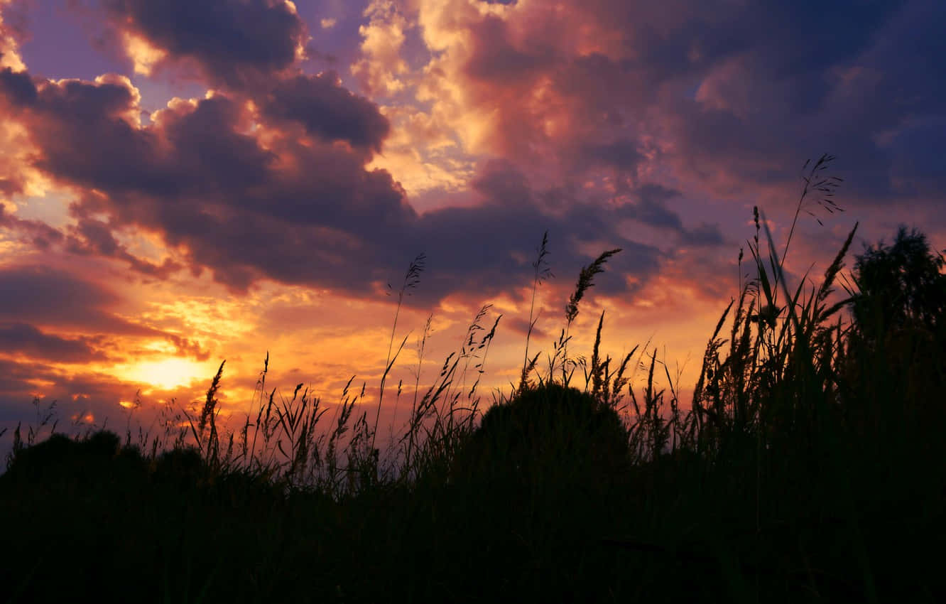 sunset, fiery orange, deep purple, HD Desktop Wallpaper