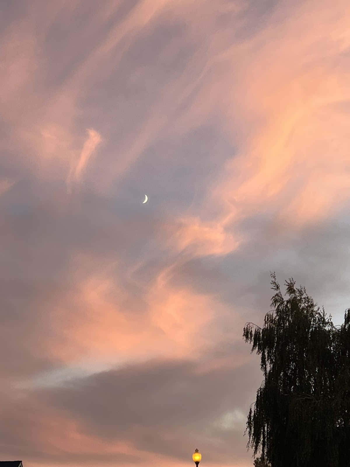 crescent moon, wispy clouds, soft peach, HD Phone Wallpaper