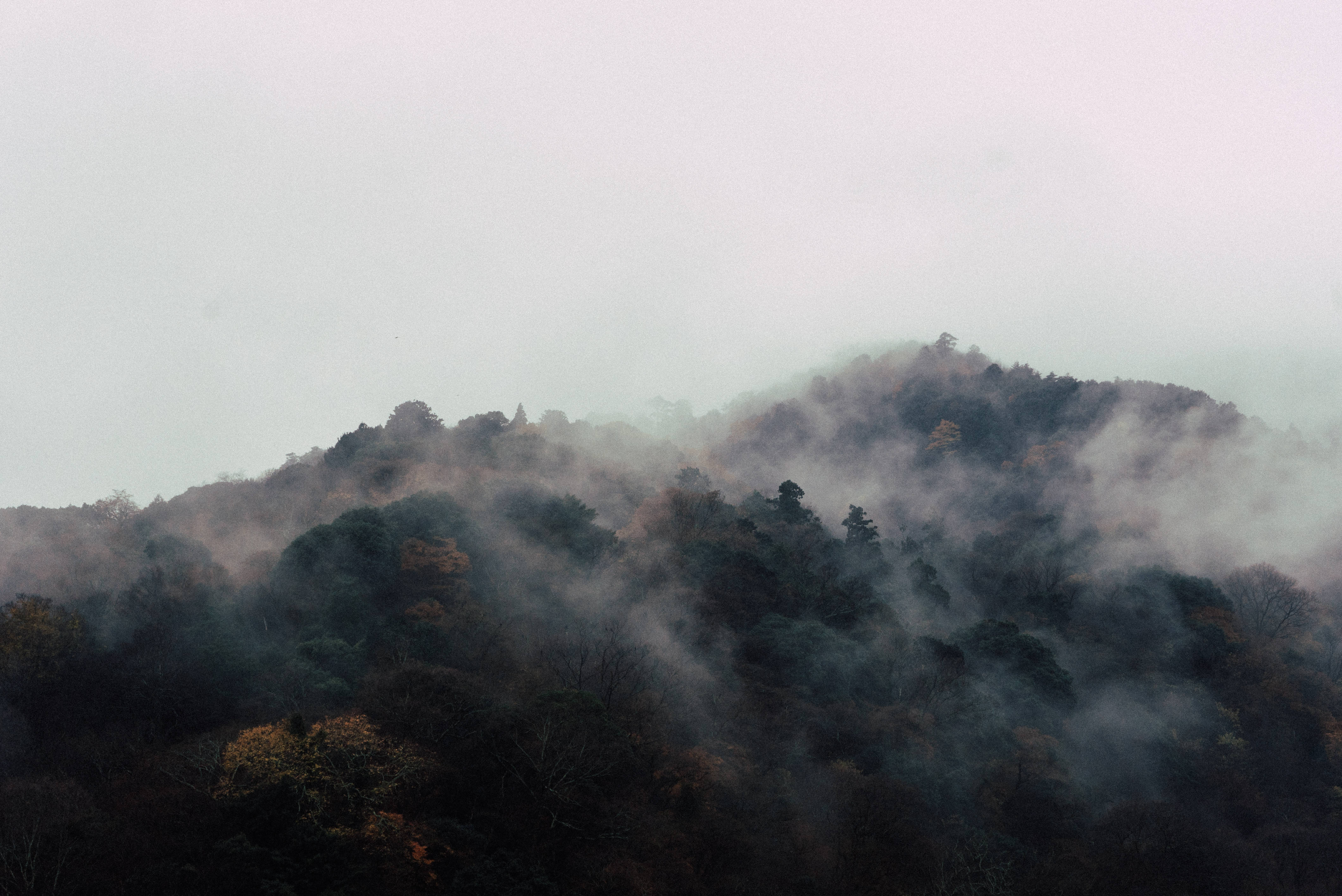 Aesthetic Clouds, mountain, autumn forest, 4K Desktop Wallpaper
