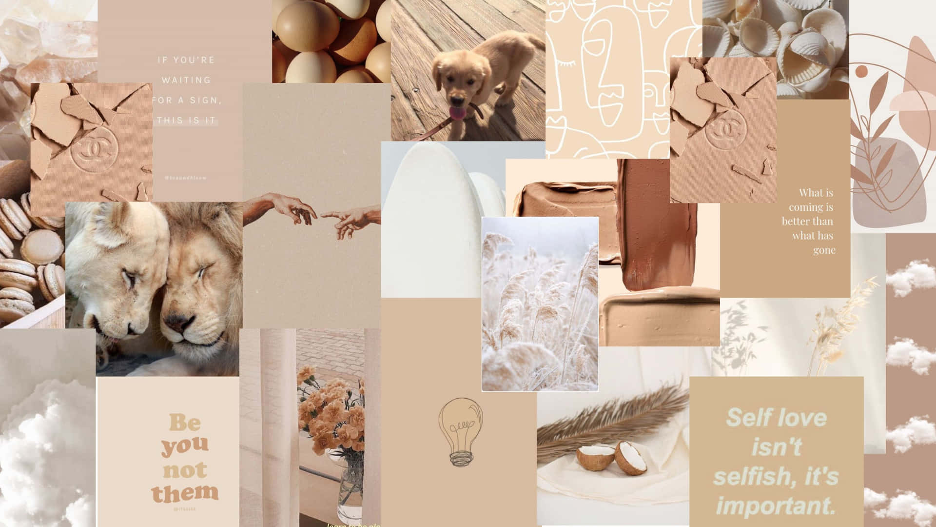 aesthetic collage desktop, beige-toned, lions, Full HD Desktop Wallpaper