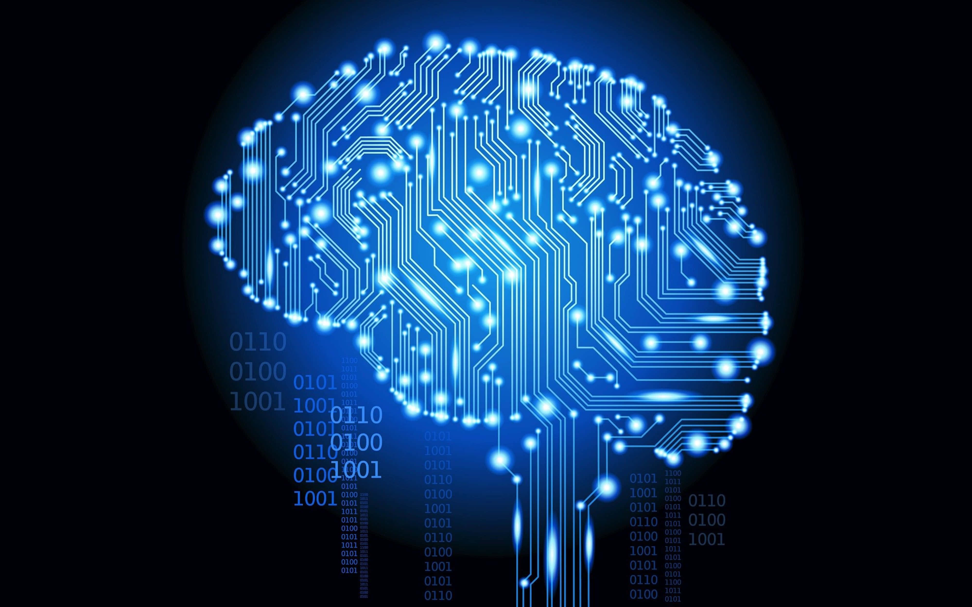 glowing blue circuit board, human brain, binary code, 4K Desktop Wallpaper