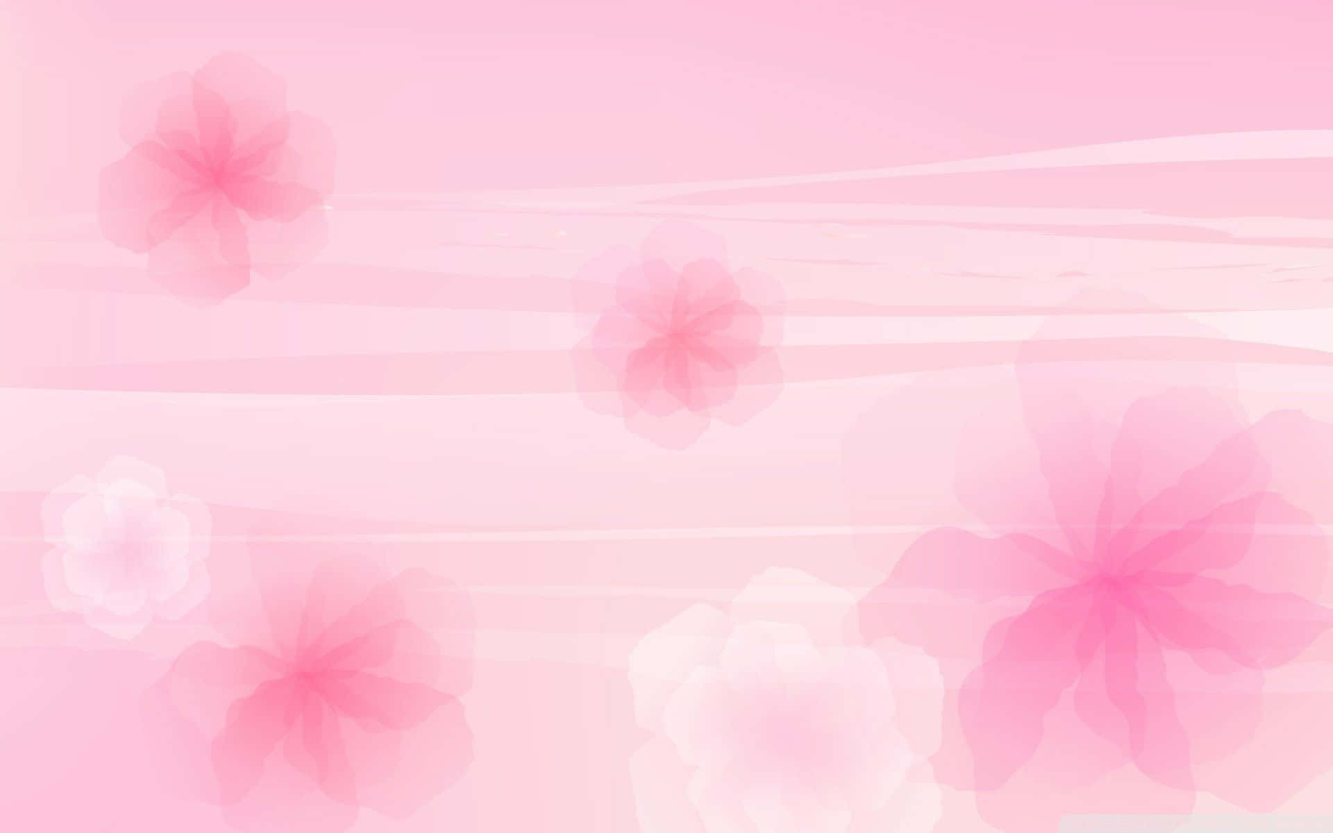 Aesthetic Computer Light Pink, transparent flowers, soft pink, Full HD Desktop Wallpaper