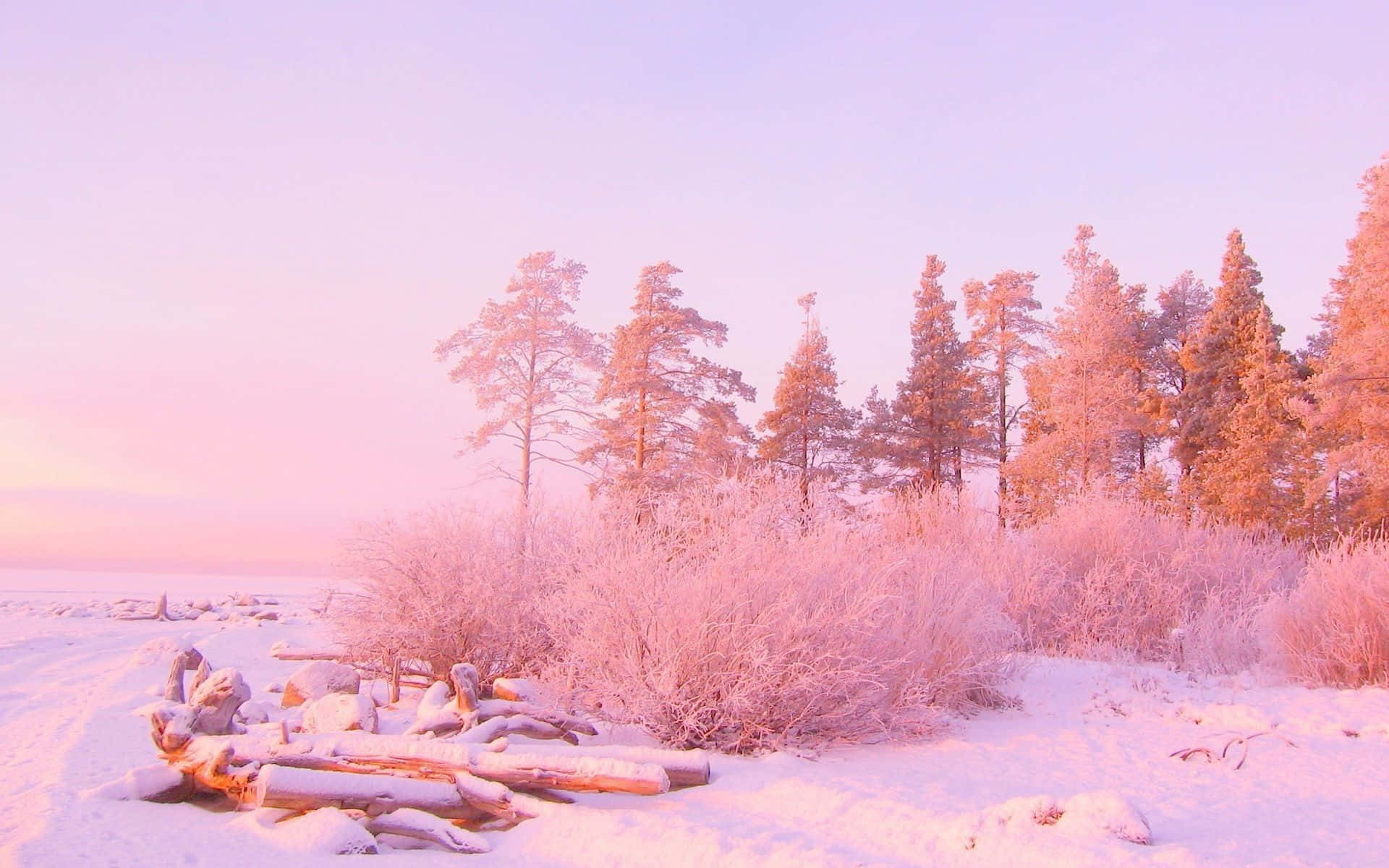 Aesthetic Computer Light Pink, snowy winter landscape, soft pink and lavender light, Full HD Desktop Wallpaper