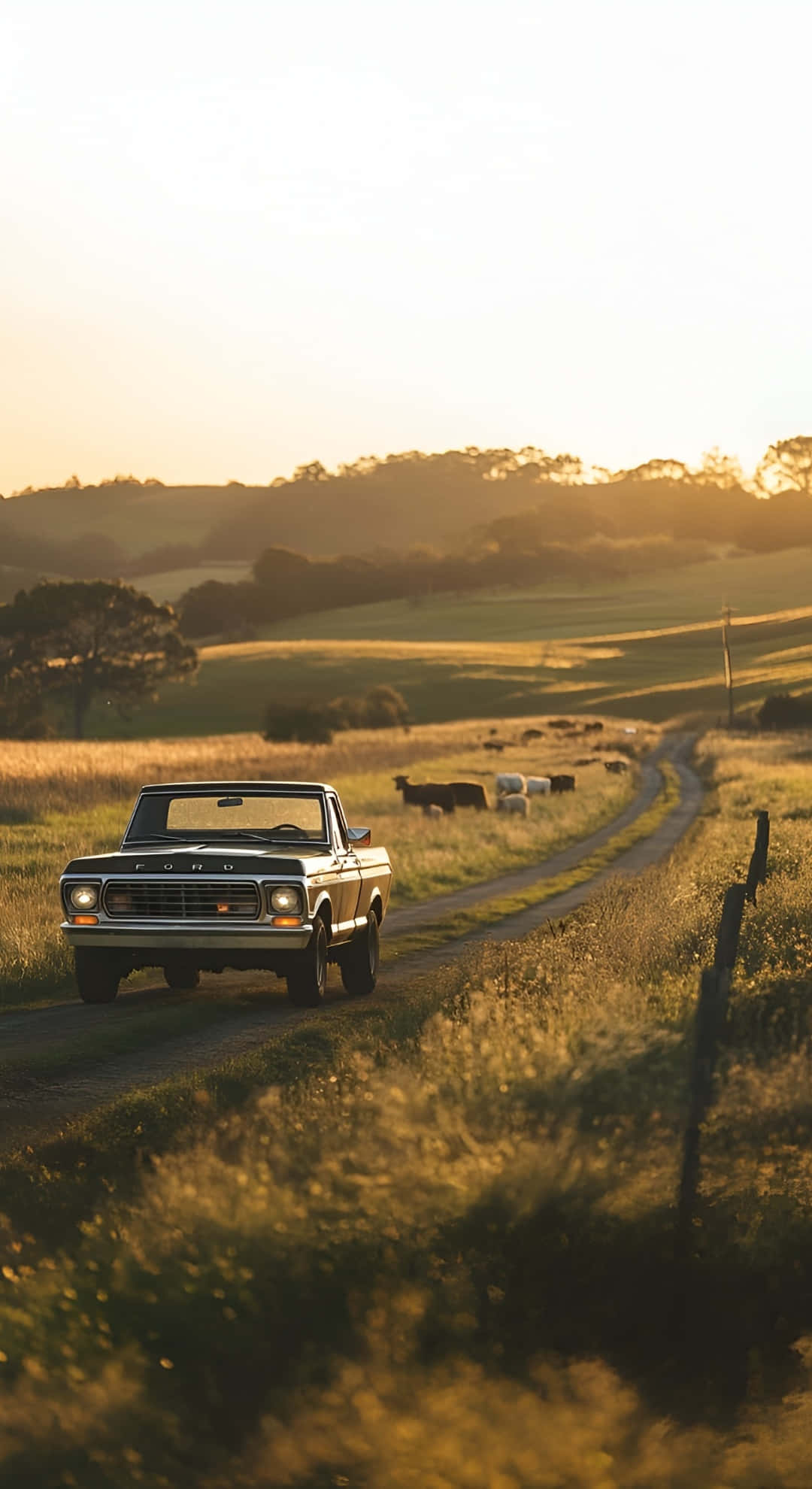 Ford pickup truck, dirt road, golden fields, Full HD Phone Wallpaper