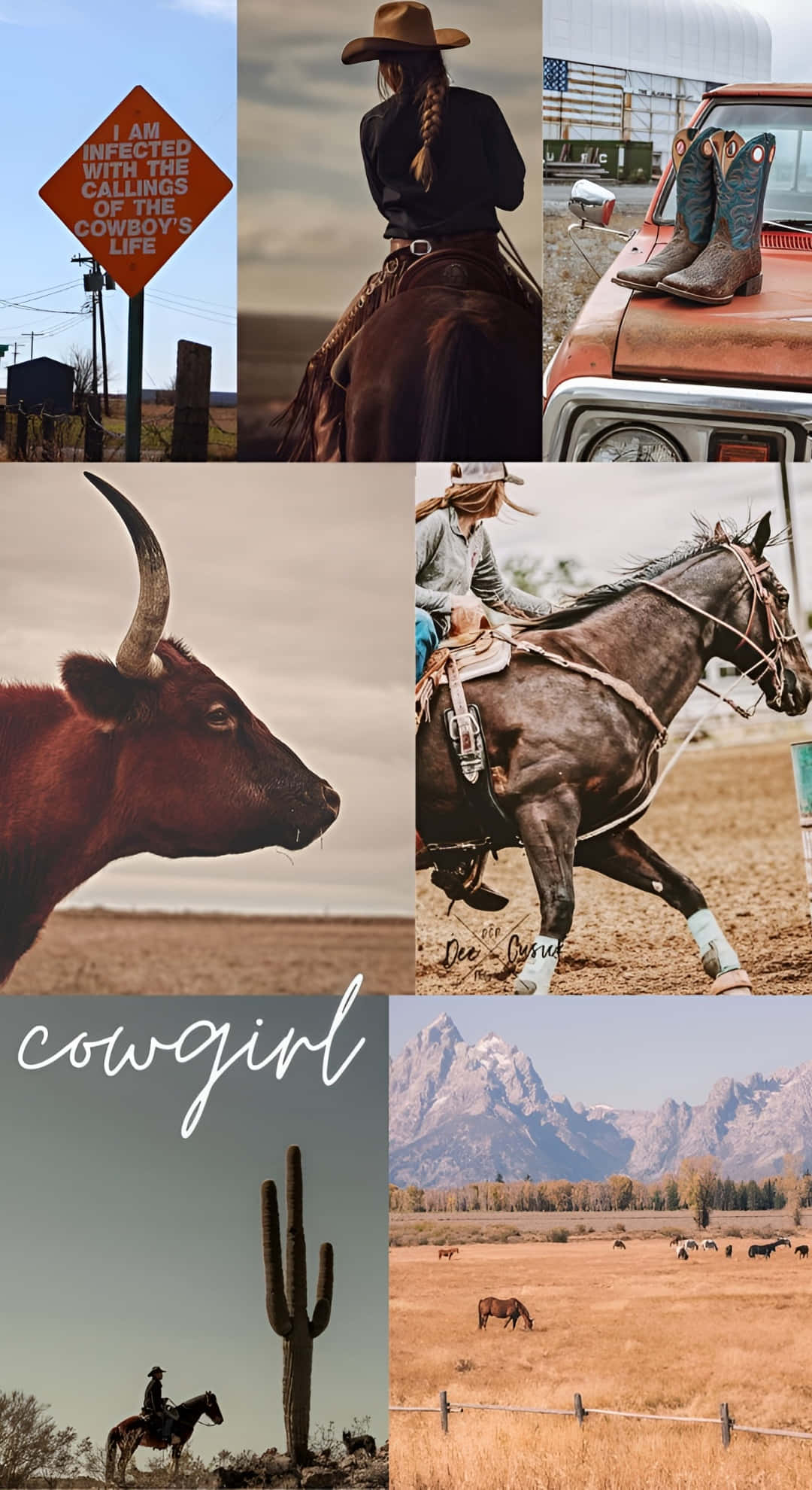 cowgirl, cowboy, rider on horseback, Full HD Phone Wallpaper