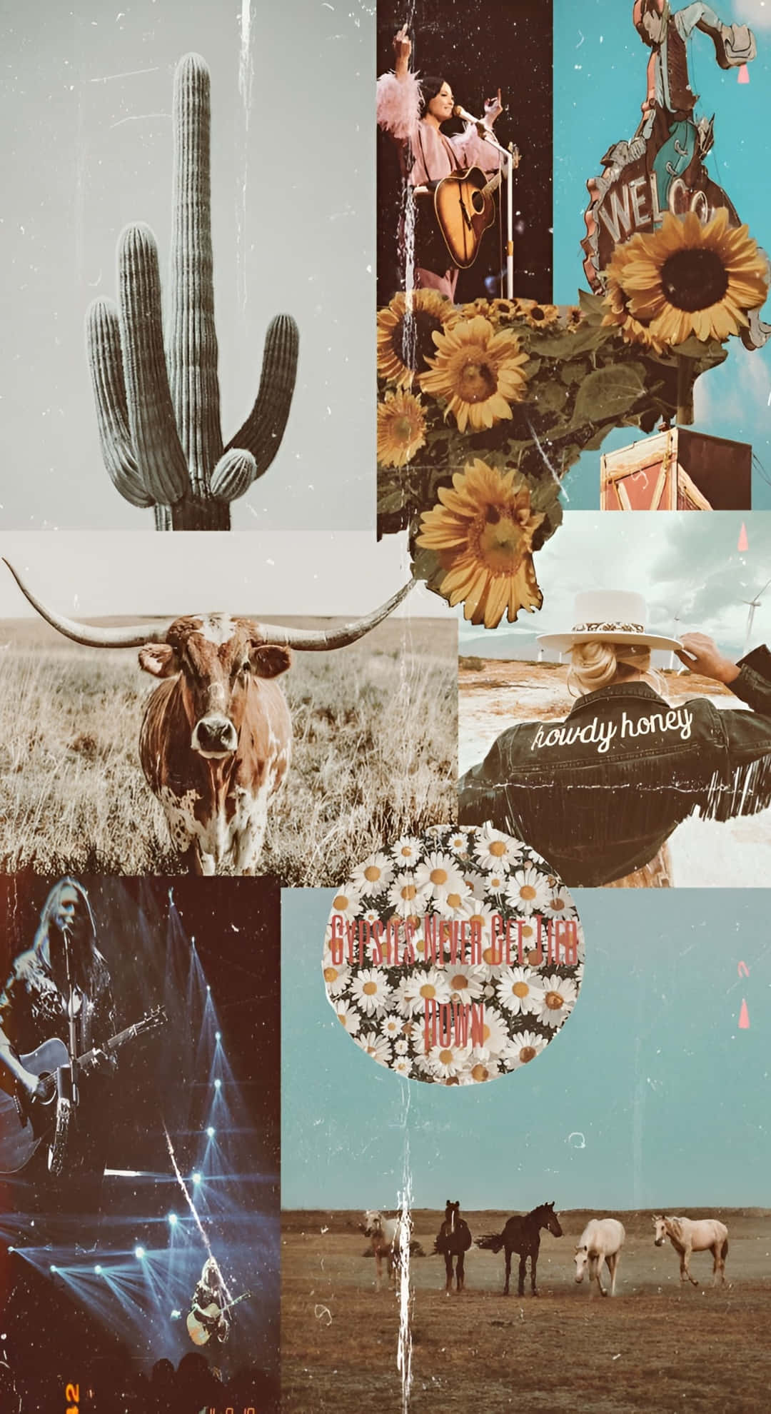 saguaro cactus, sunflowers, longhorn cow, Full HD Phone Wallpaper