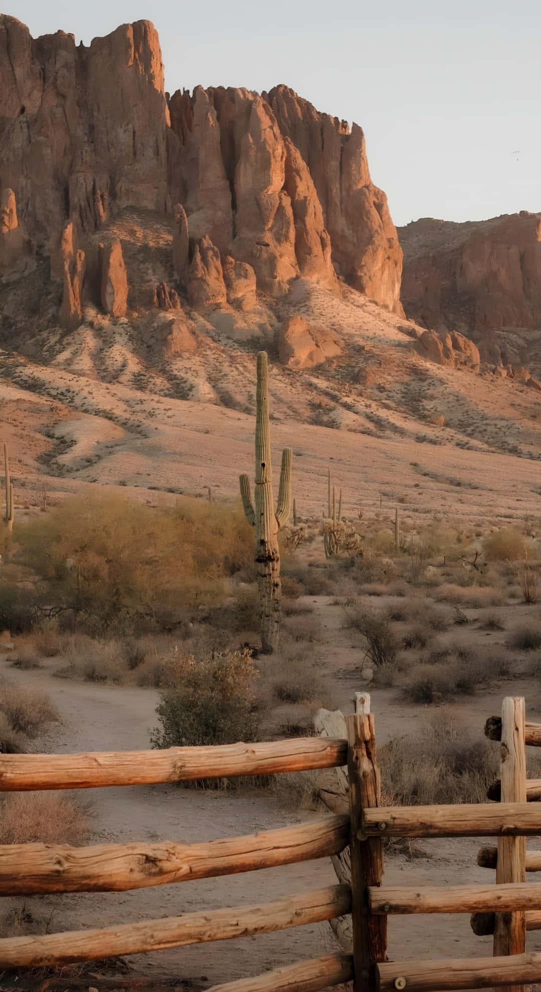 desert vista, towering red rock formations, saguaro cacti, Full HD Phone Wallpaper