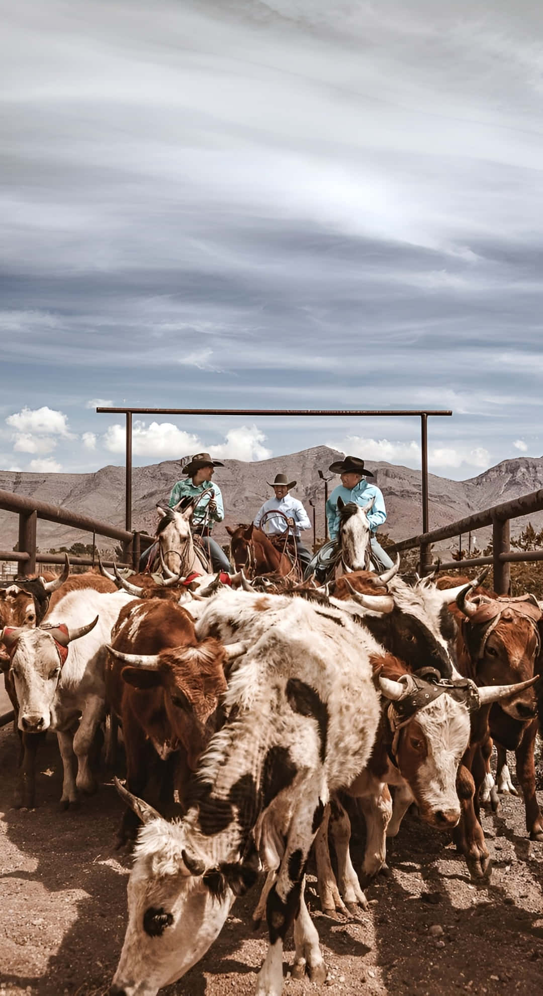rustic cowboy, longhorn cattle, dusty corral, Full HD Phone Wallpaper