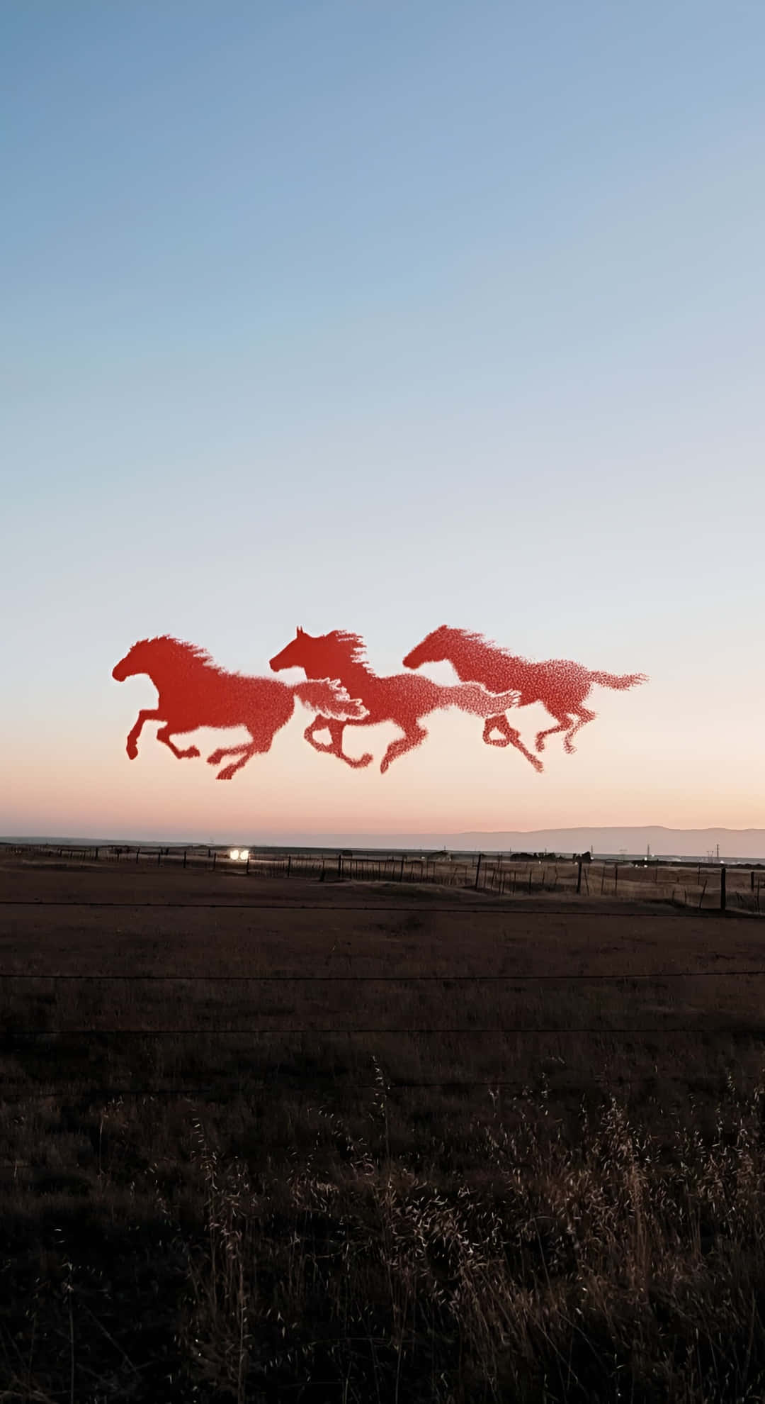 running horses, sunset, twilight sky, Full HD Phone Wallpaper