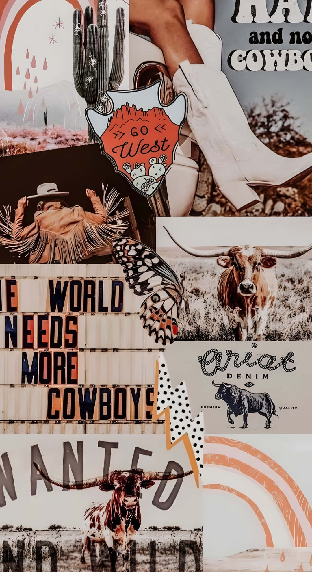 cowboy boots, desert cacti, longhorn cattle, Full HD Phone Wallpaper
