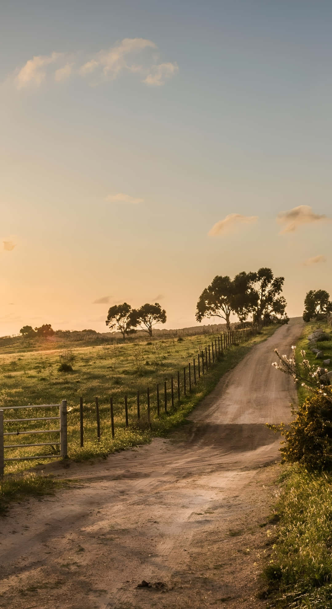 country road, sunset, dirt road, Full HD Phone Wallpaper