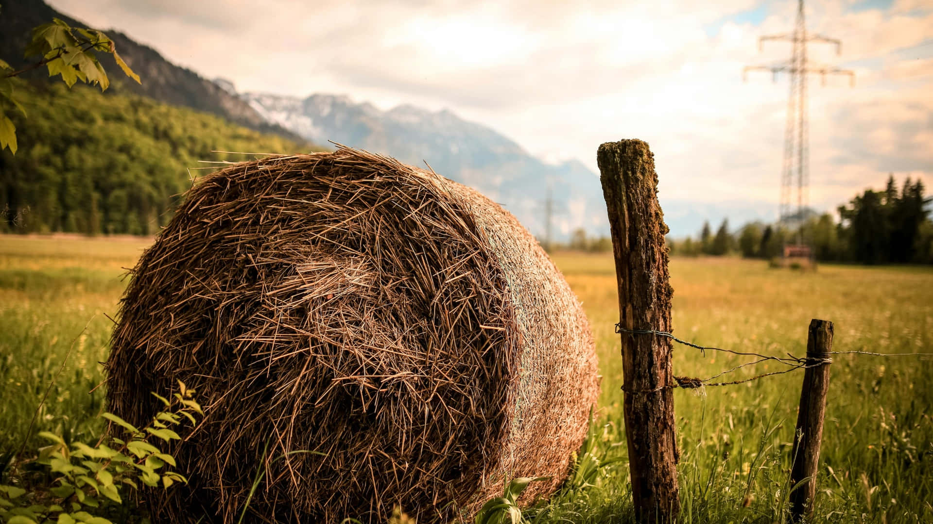 rustic hay bale, sunlit green field, weathered wooden fence, Full HD Desktop Wallpaper
