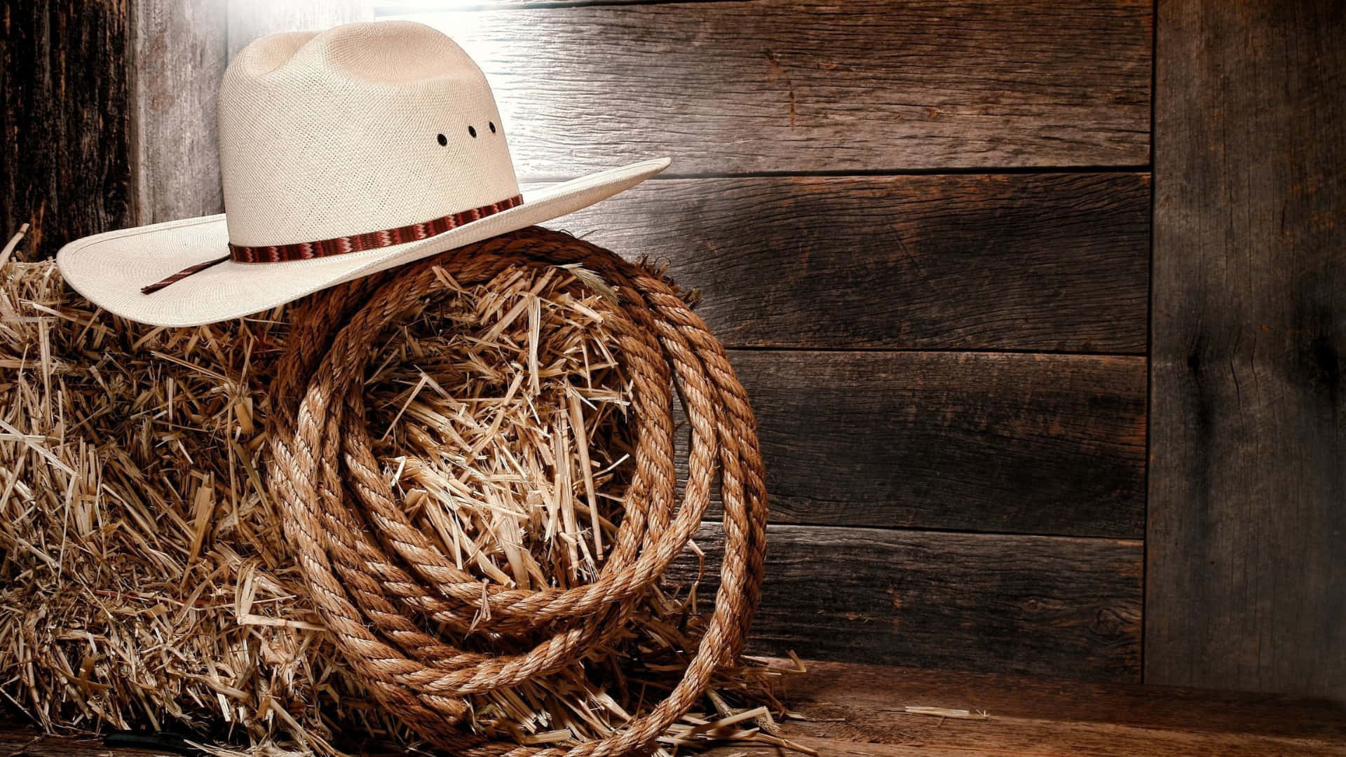 cream cowboy hat, brown band, thick rope, Full HD Desktop Wallpaper