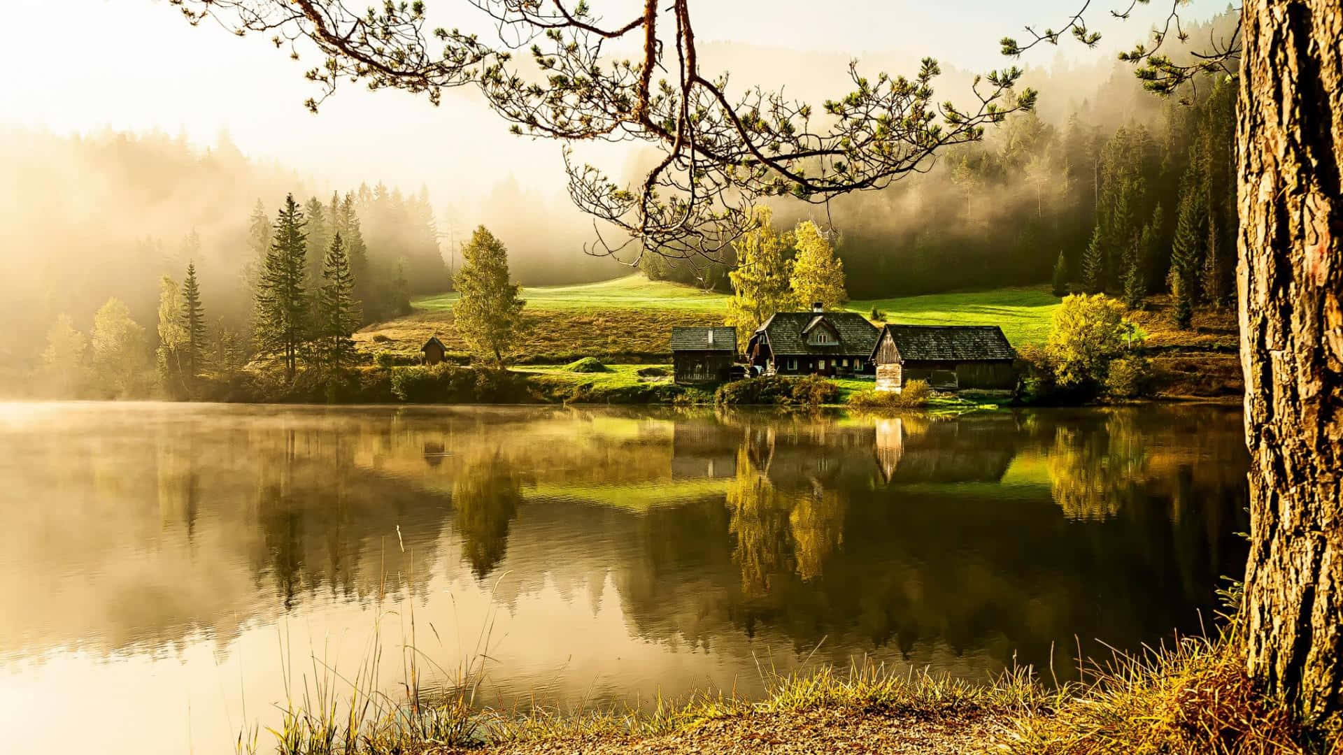 misty morning sun, tranquil lake, rustic wooden cabin, Full HD Desktop Wallpaper