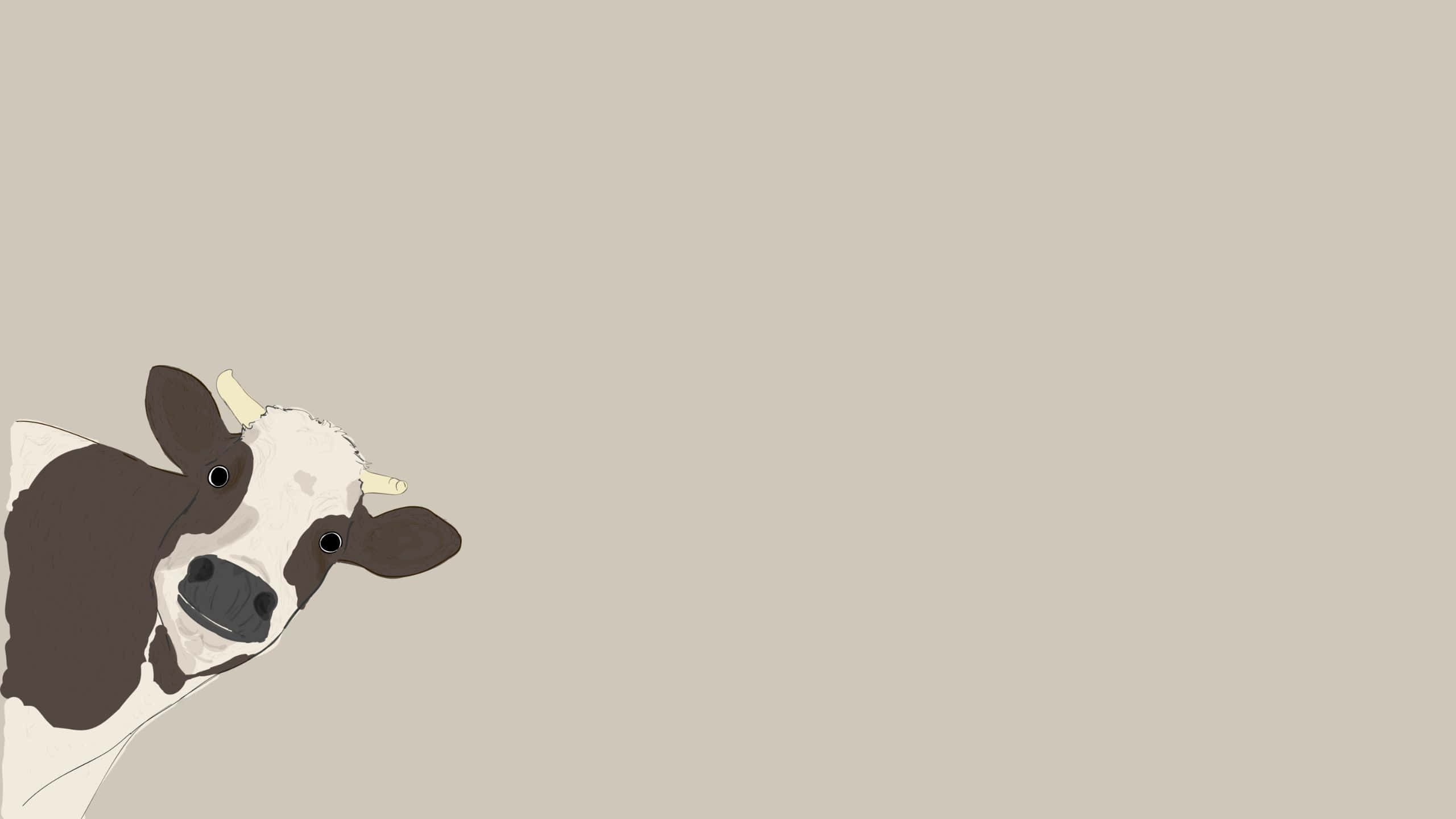 aesthetic cow, black and white cow, minimalist illustration, 2K Desktop Wallpaper