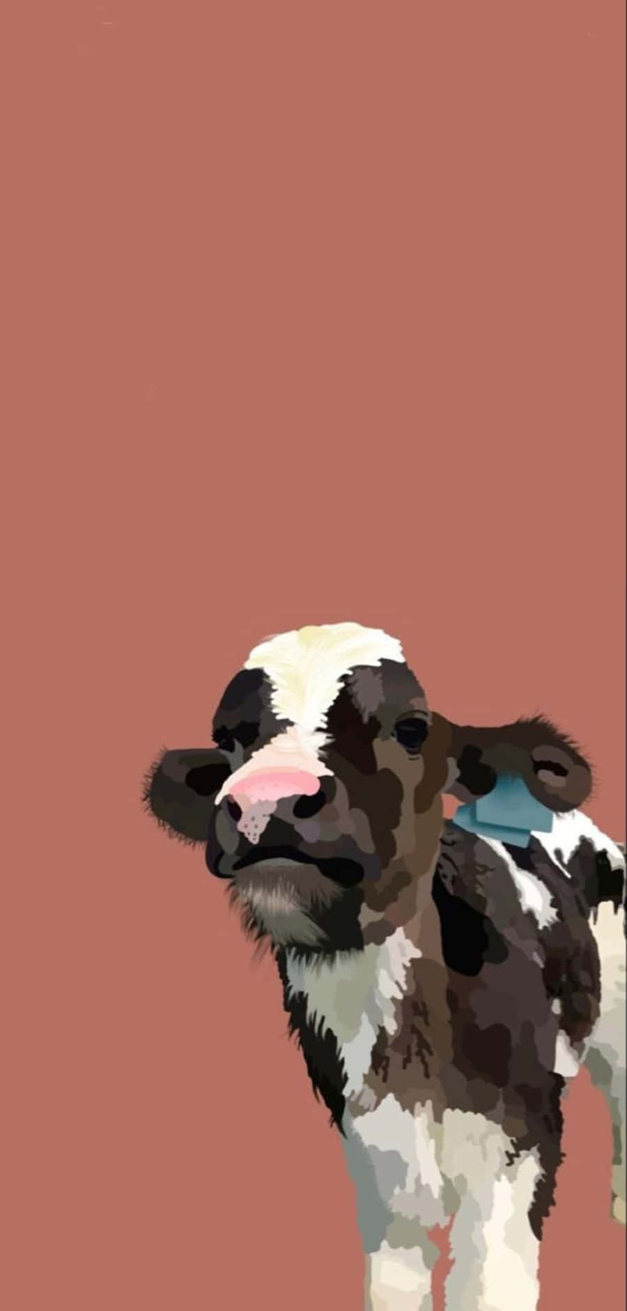 kawaii cute cow, black and white calf, pink nose, HD Phone Wallpaper