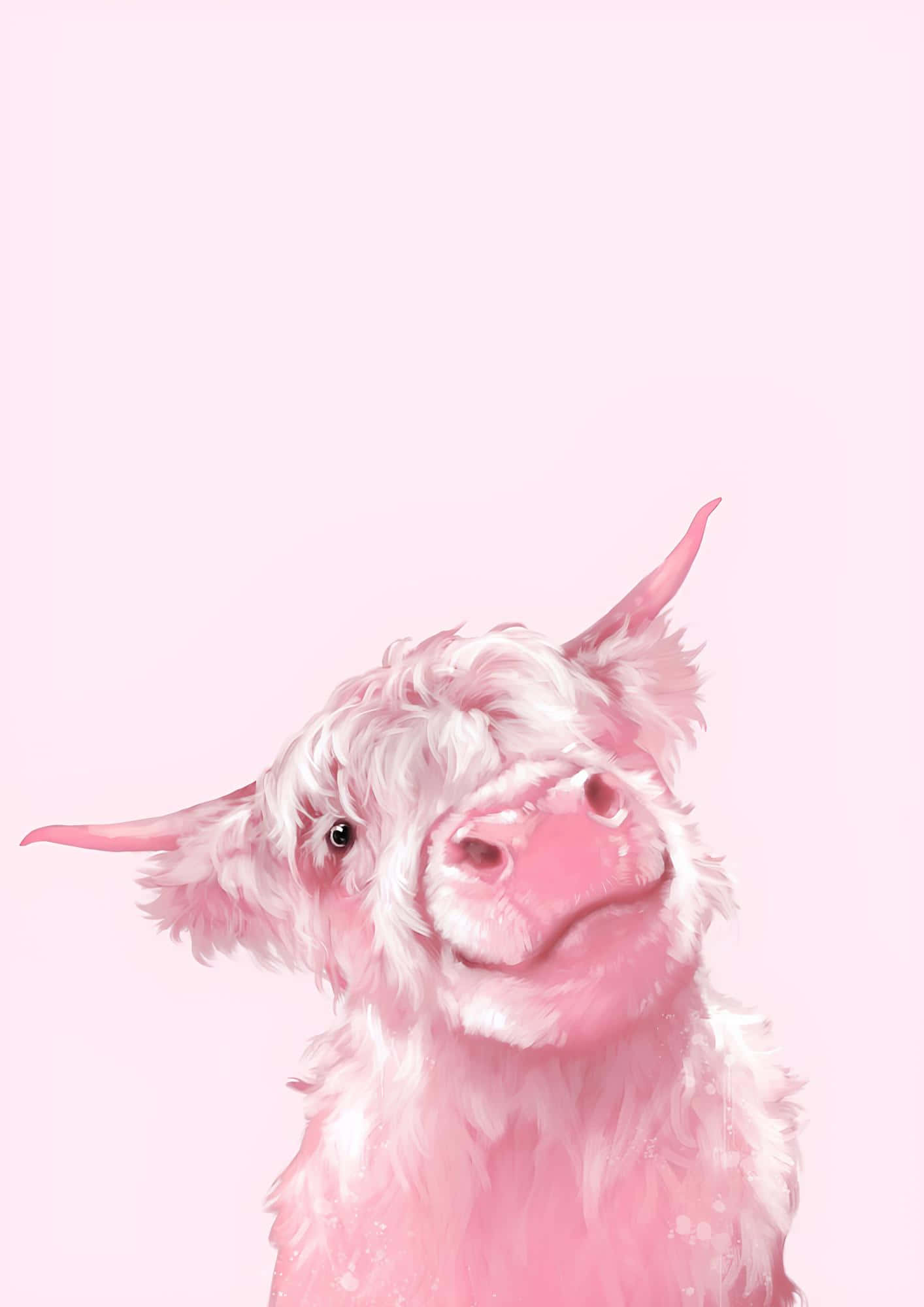 pink cow, fluffy pink highland cow, gentle eyes, Full HD Phone Wallpaper