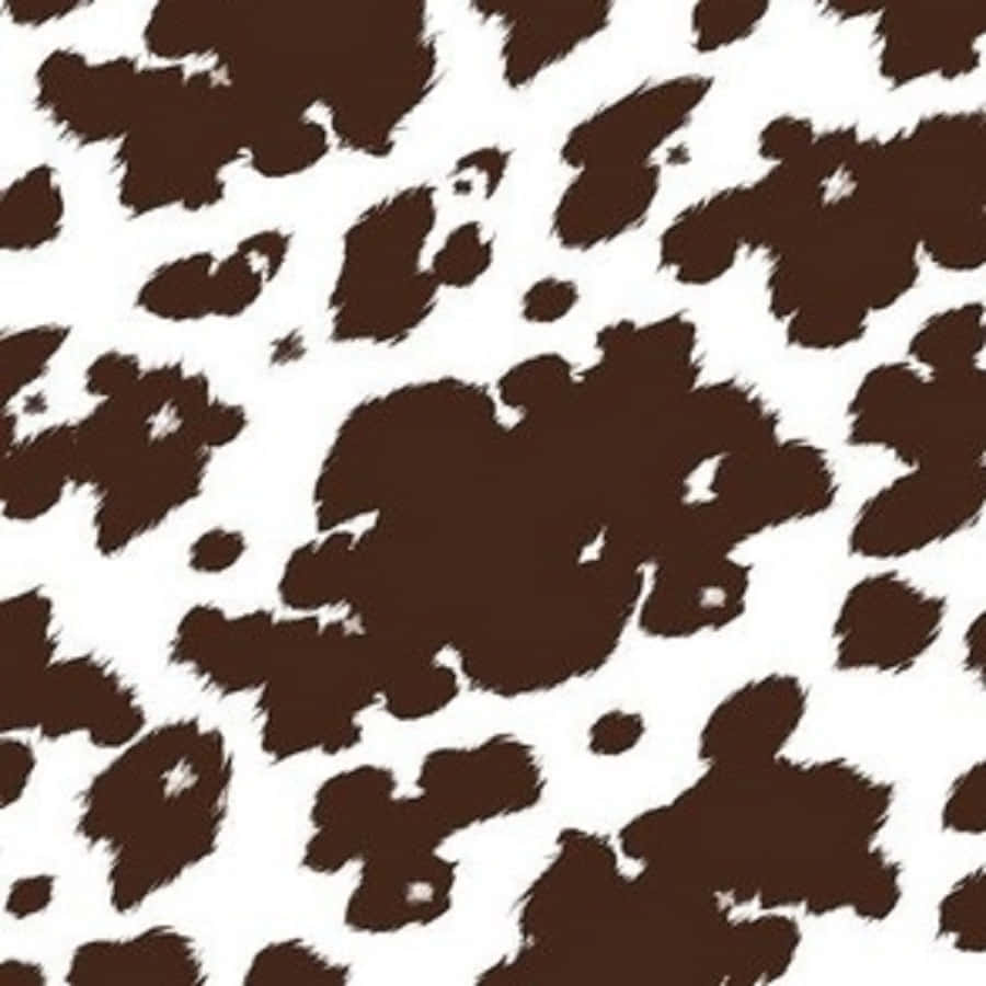 brown cow print, irregular brown patches, crisp white background, SD Desktop Wallpaper