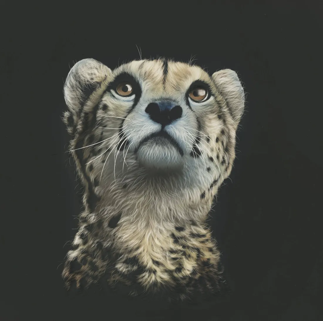 Aesthetic Cute Cheetah Print