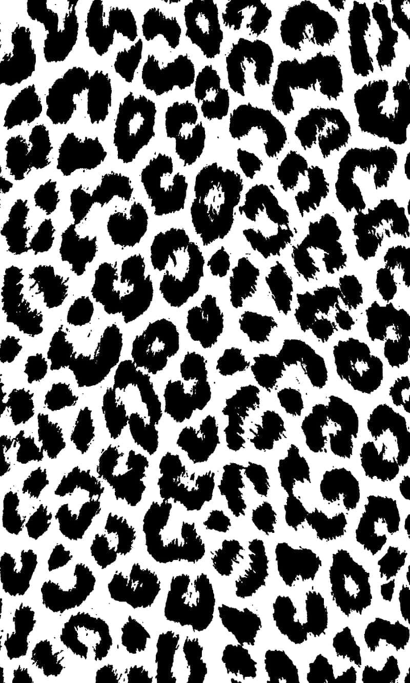 cute cheetah print, black and white, bold black leopard spots, HD Phone Wallpaper