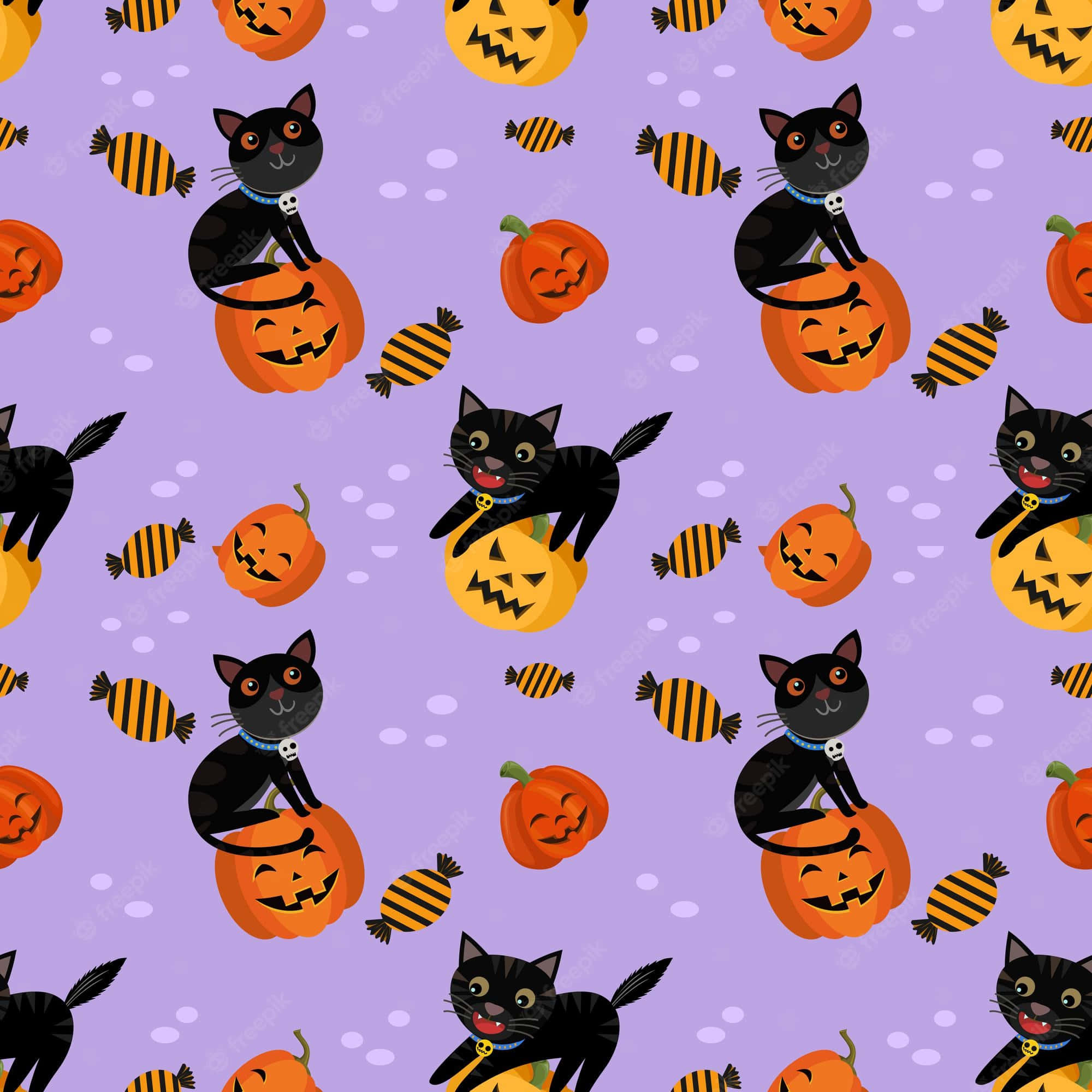 black cat, jack-o-lantern, skull collar, Full HD Desktop Wallpaper