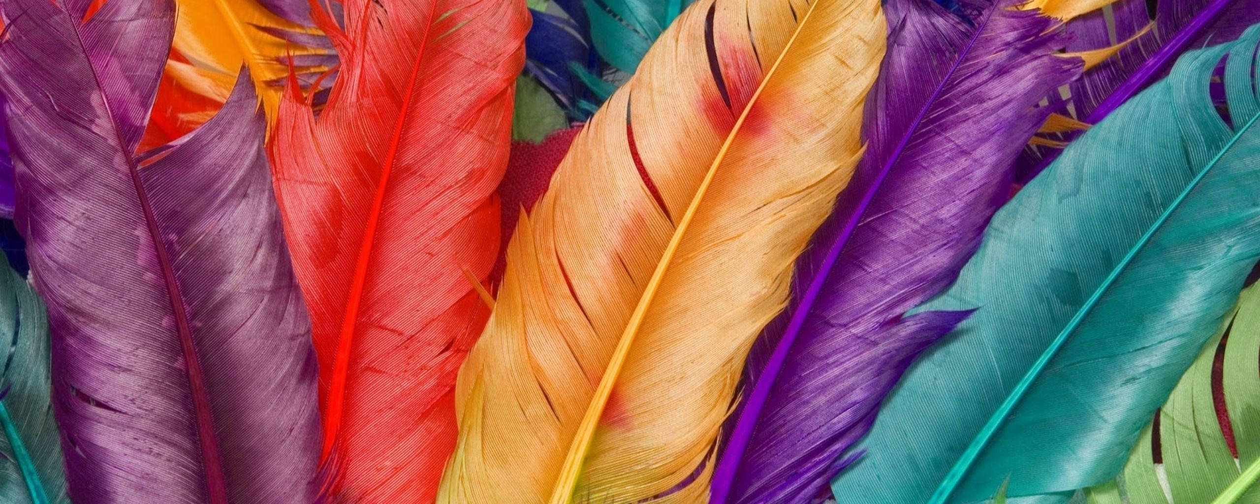 colorful bright pastel feathers, vibrant multicolored feathers, rich textures, 2K Desktop Wallpaper