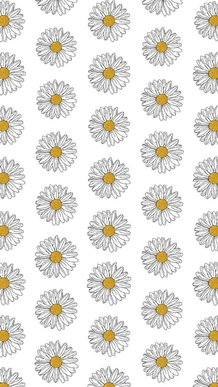 Aesthetic Daisy, hand-drawn daisies, white petals, HD Phone Wallpaper