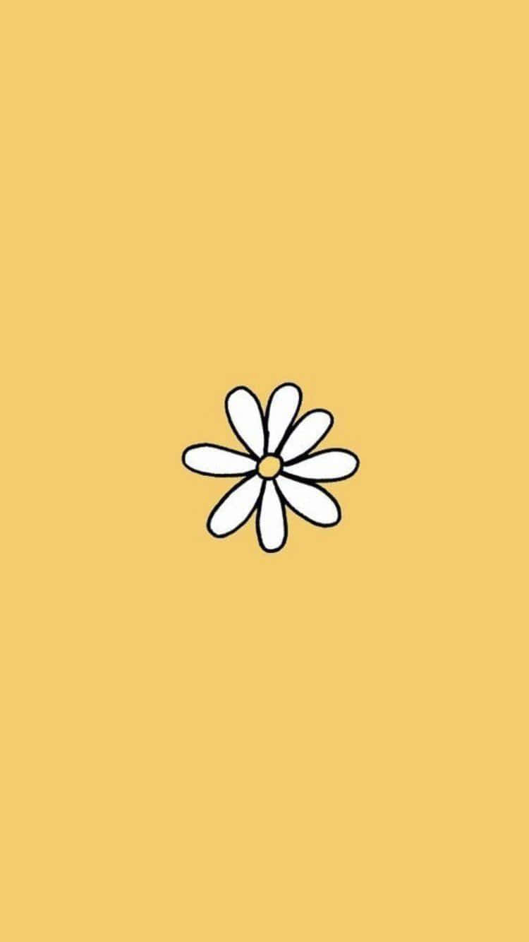Aesthetic Daisy, minimalist, white daisy, HD Phone Wallpaper