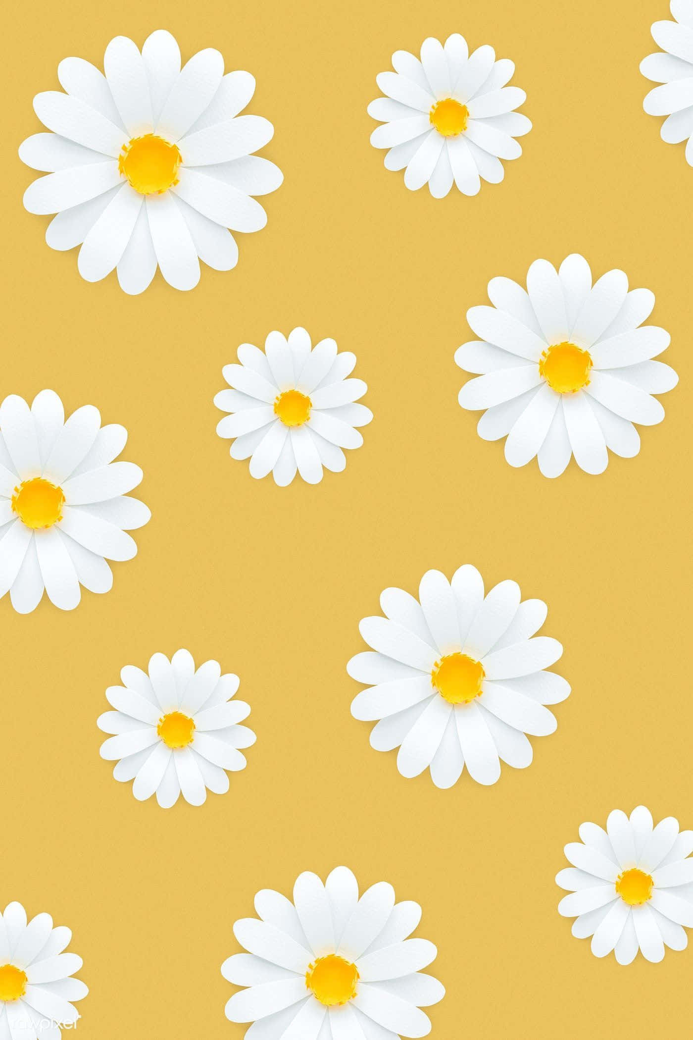 Aesthetic Daisy, yellow centers, mustard yellow background, Full HD Phone Wallpaper