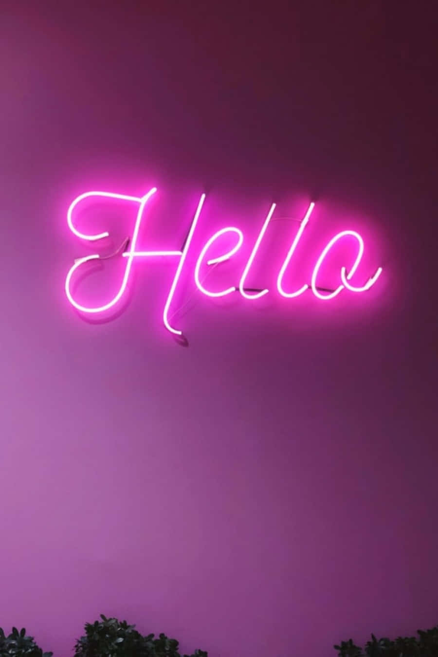neon sign, Hello, pink wall, HD Phone Wallpaper