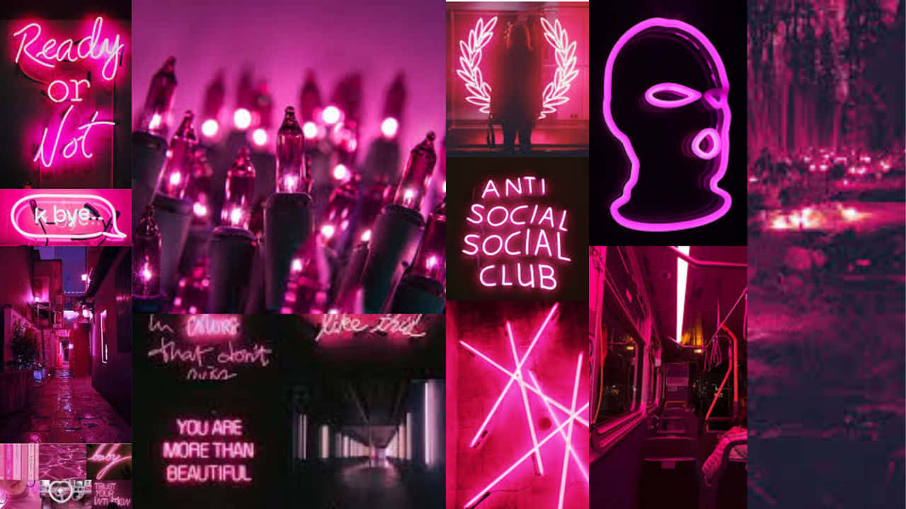 dark pink, neon signs, glowing lights, HD Desktop Wallpaper